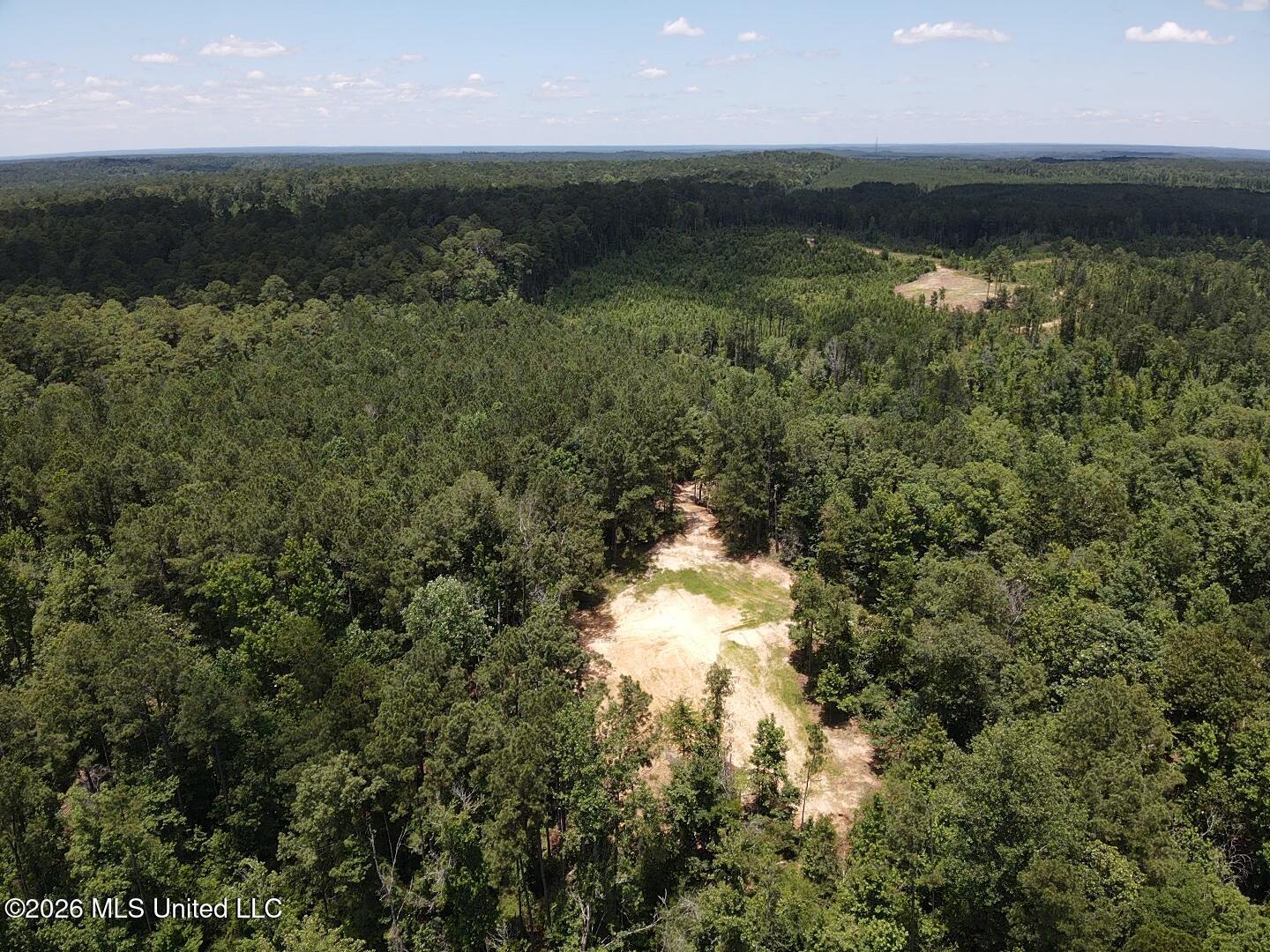 Stump Road Property Photo 33