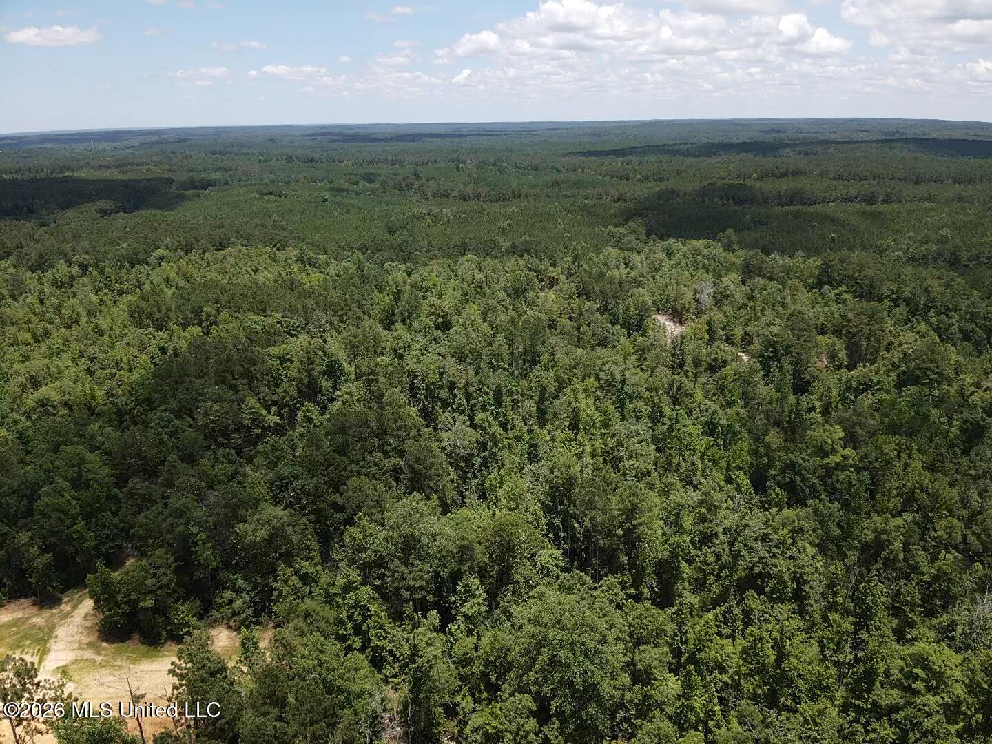 Stump Road Property Photo 34