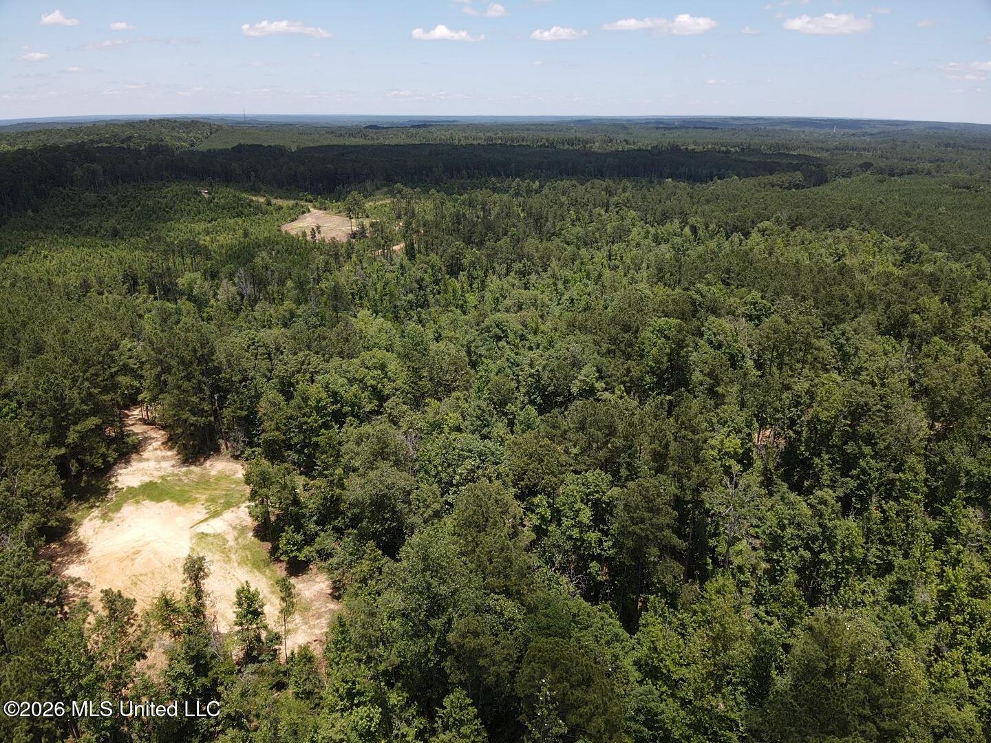 Stump Road Property Photo 35