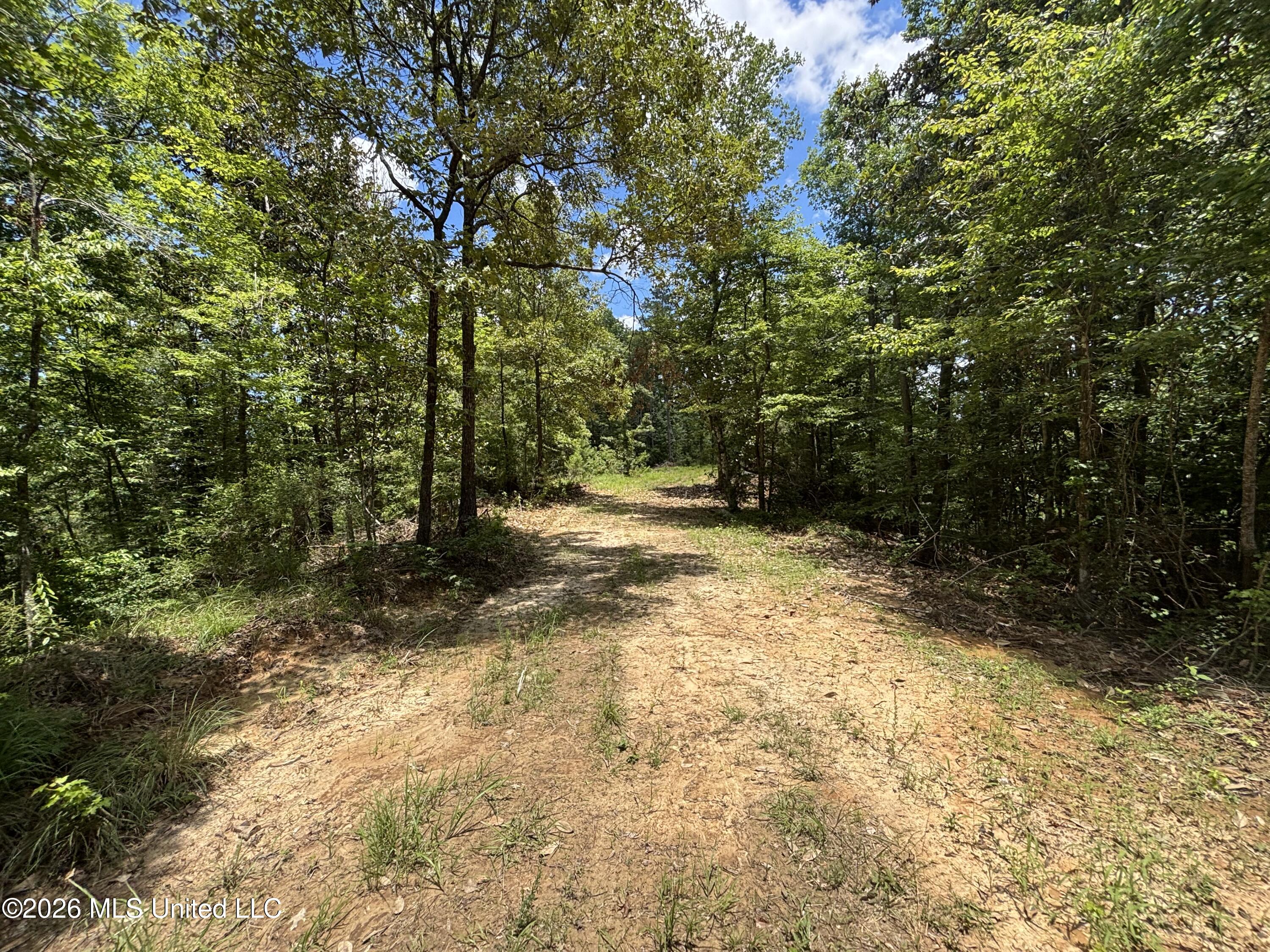 Stump Road Property Photo 36