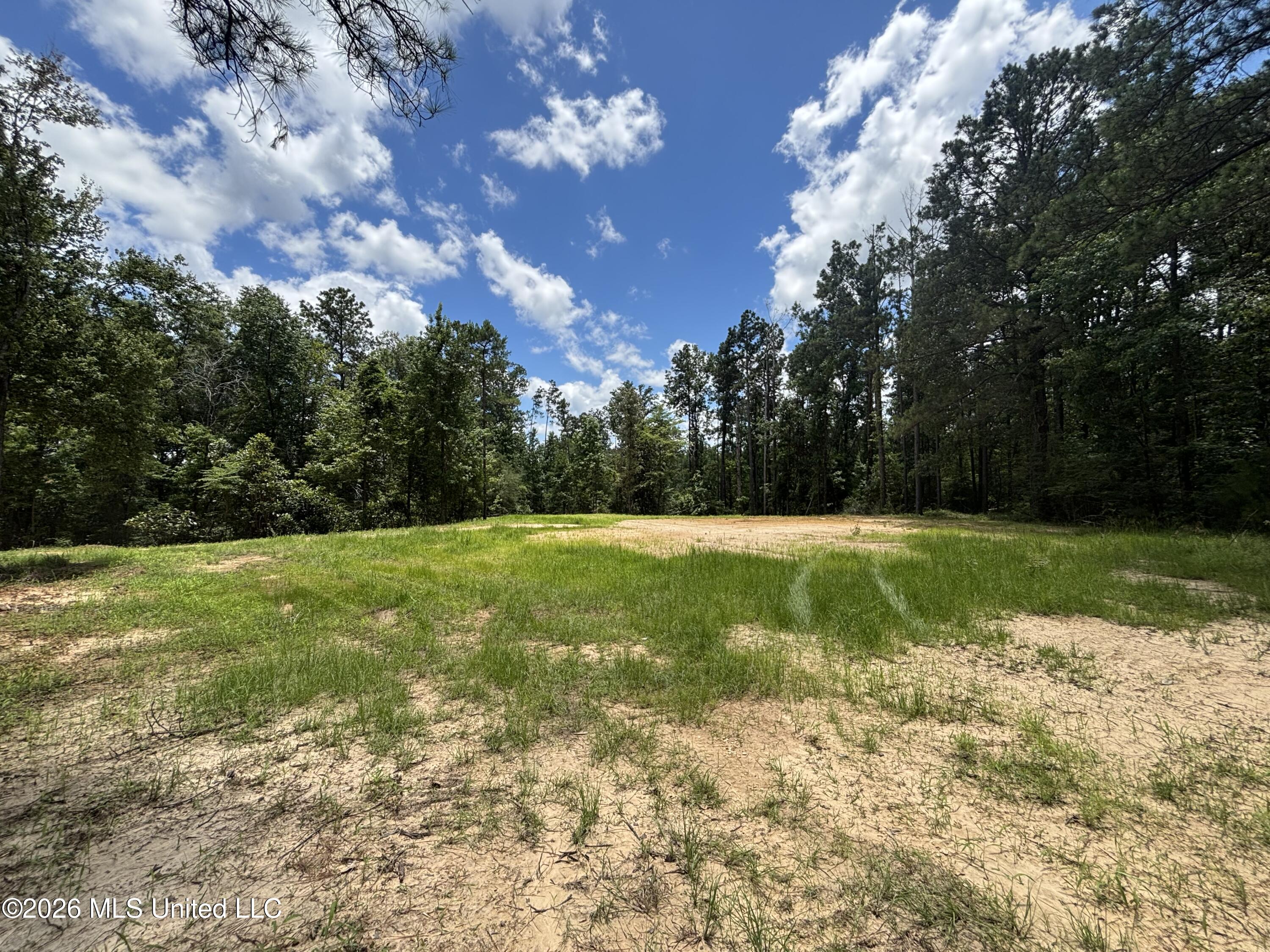 Stump Road Property Photo 37