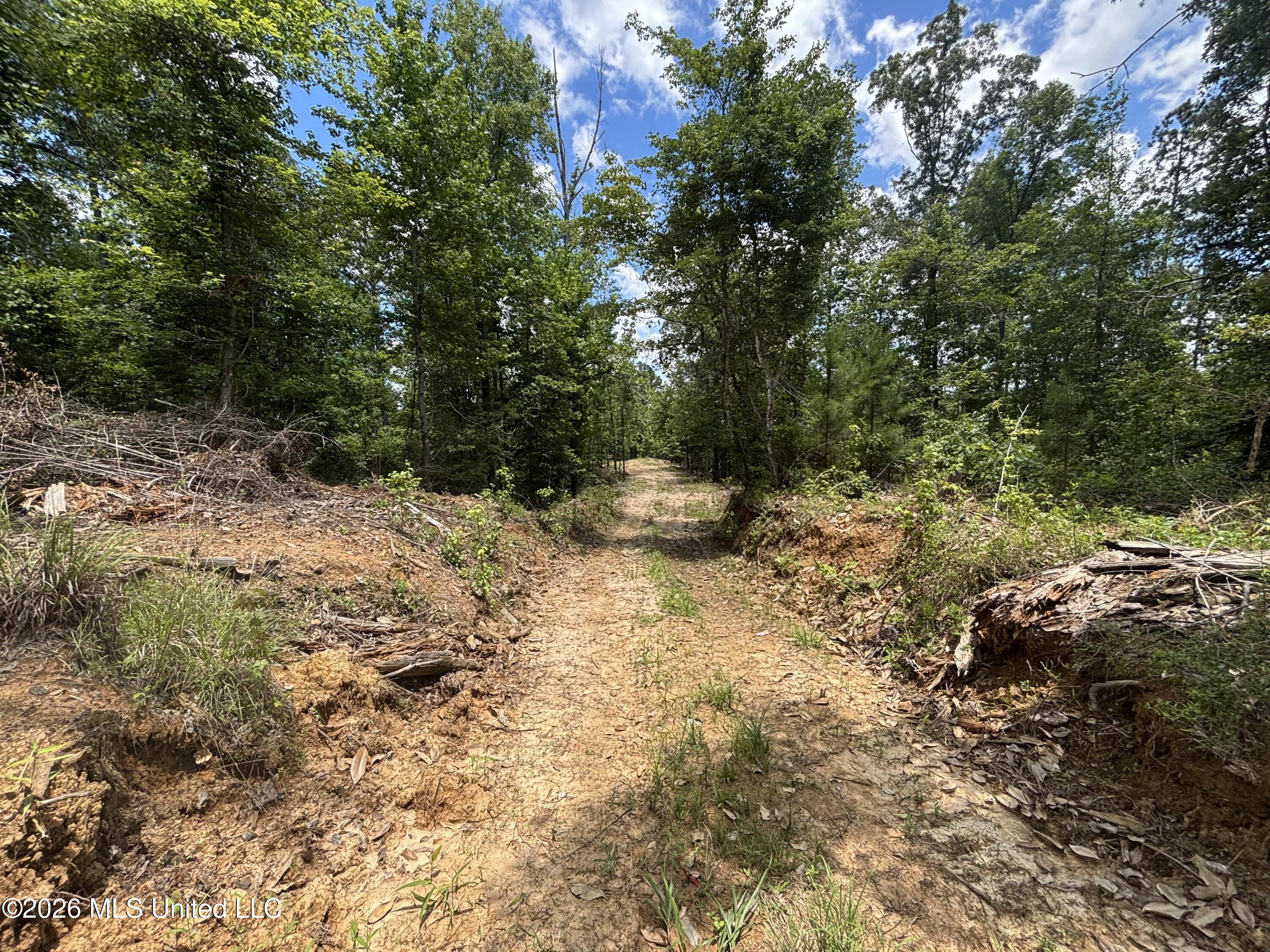 Stump Road Property Photo 38