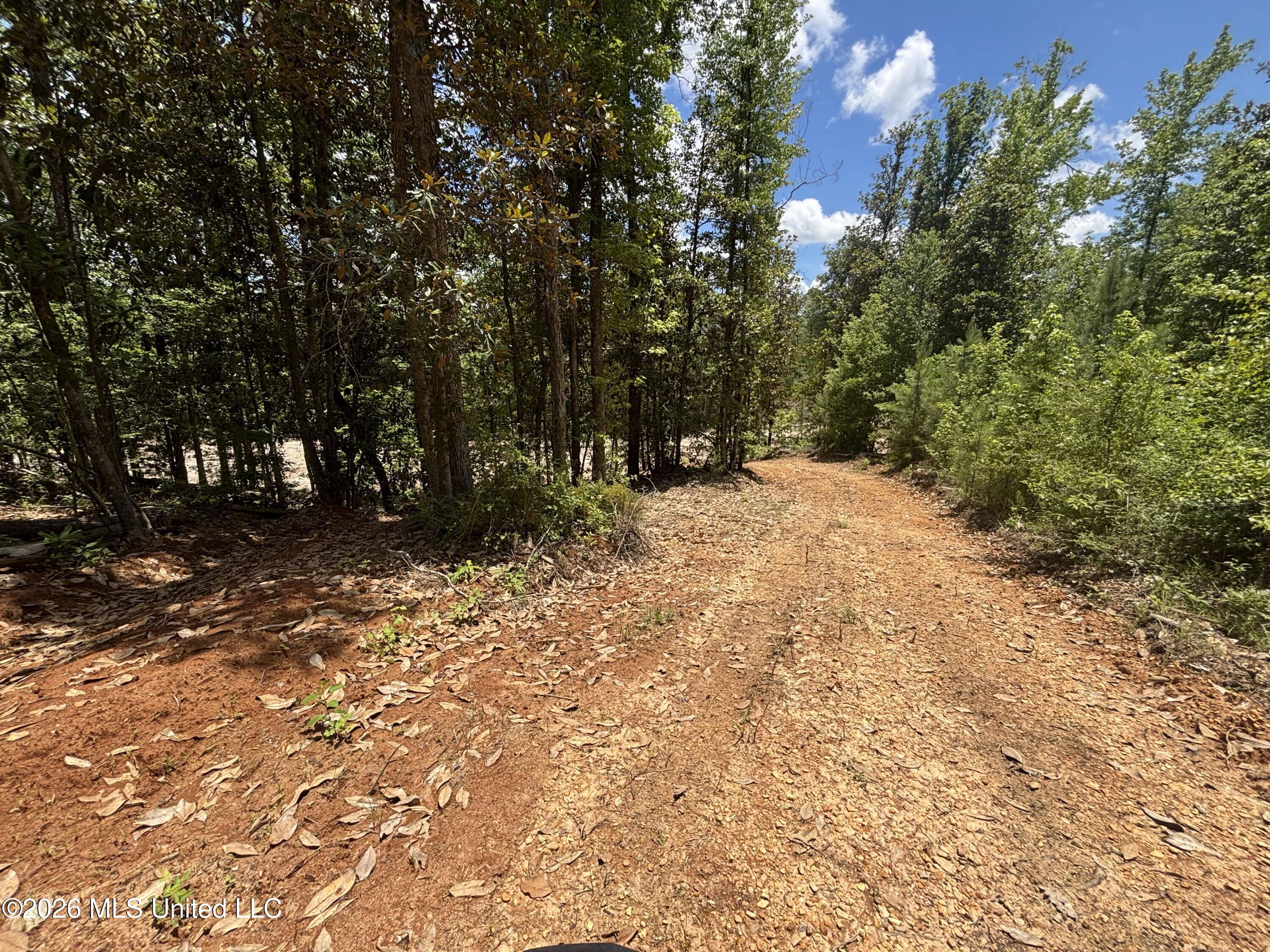 Stump Road Property Photo 39