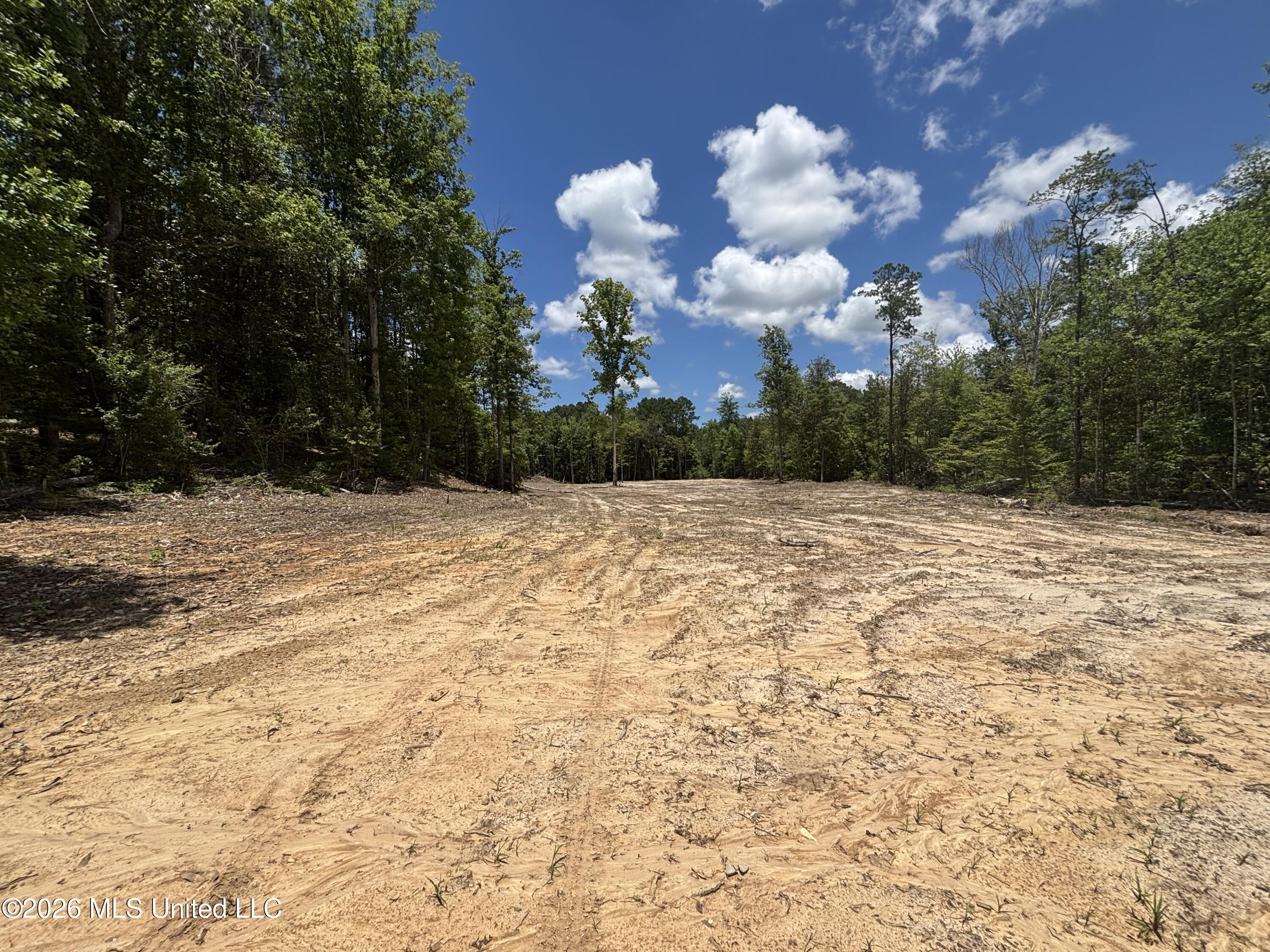 Stump Road Property Photo 40