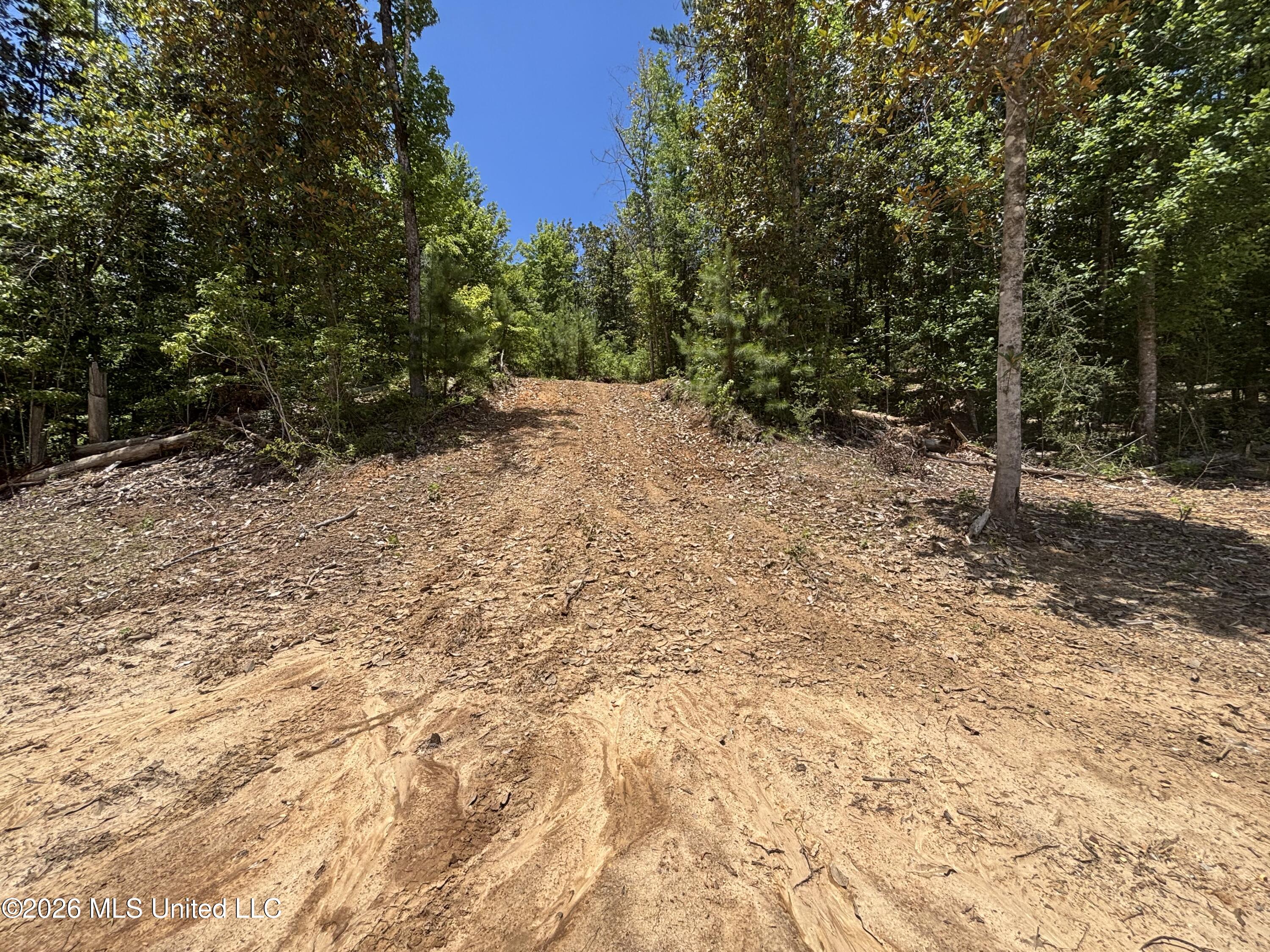 Stump Road Property Photo 41