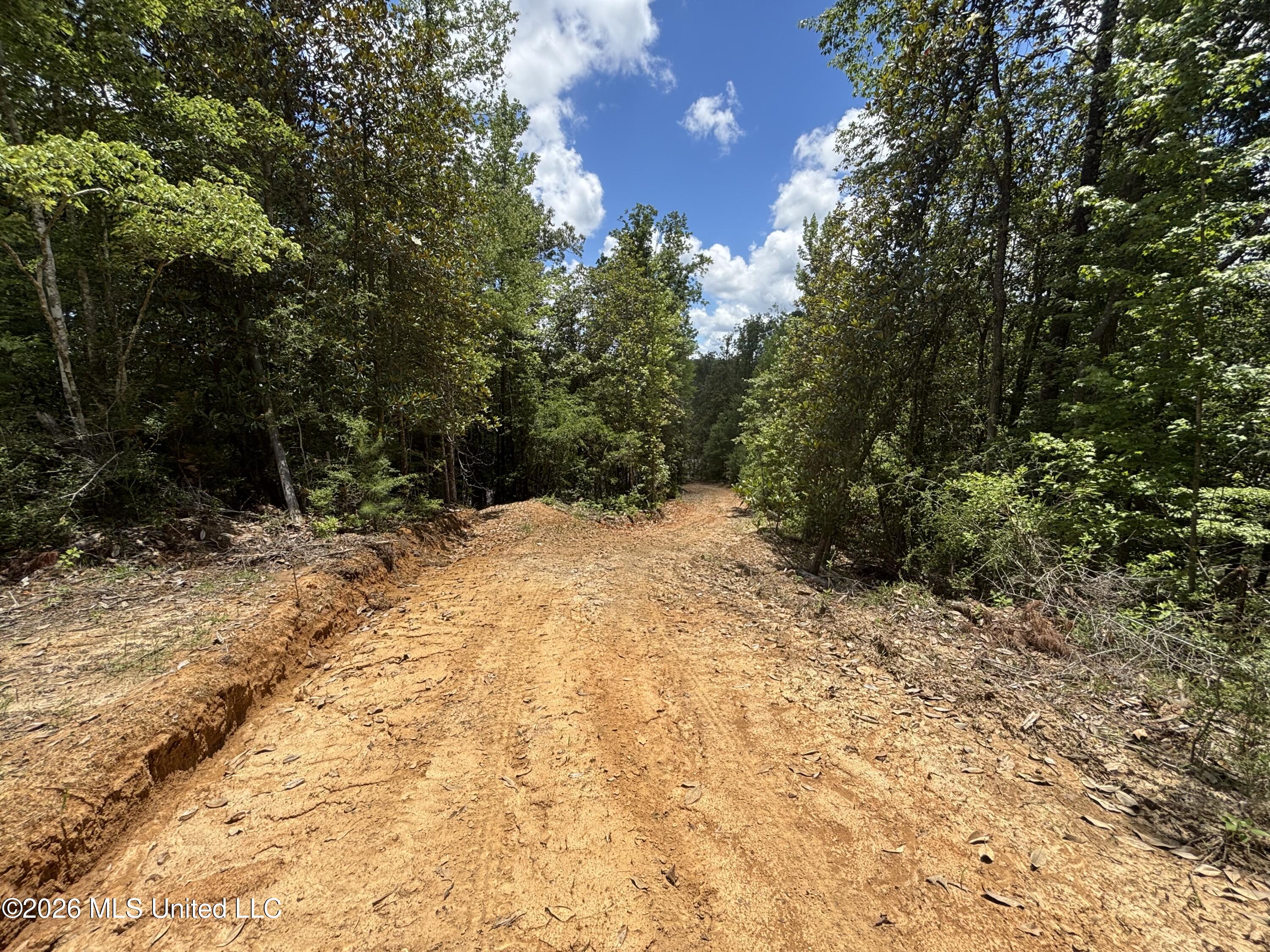 Stump Road Property Photo 42