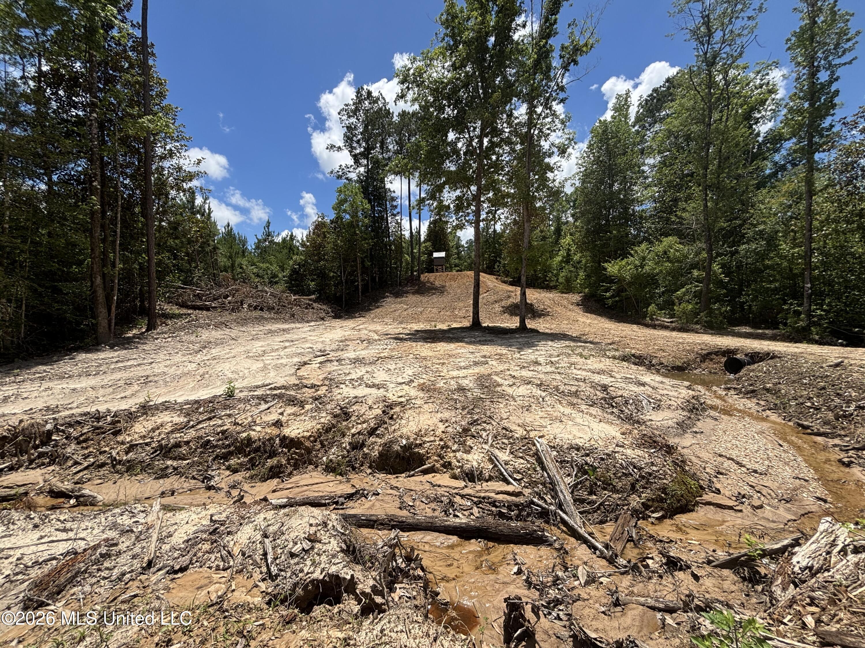 Stump Road Property Photo 43