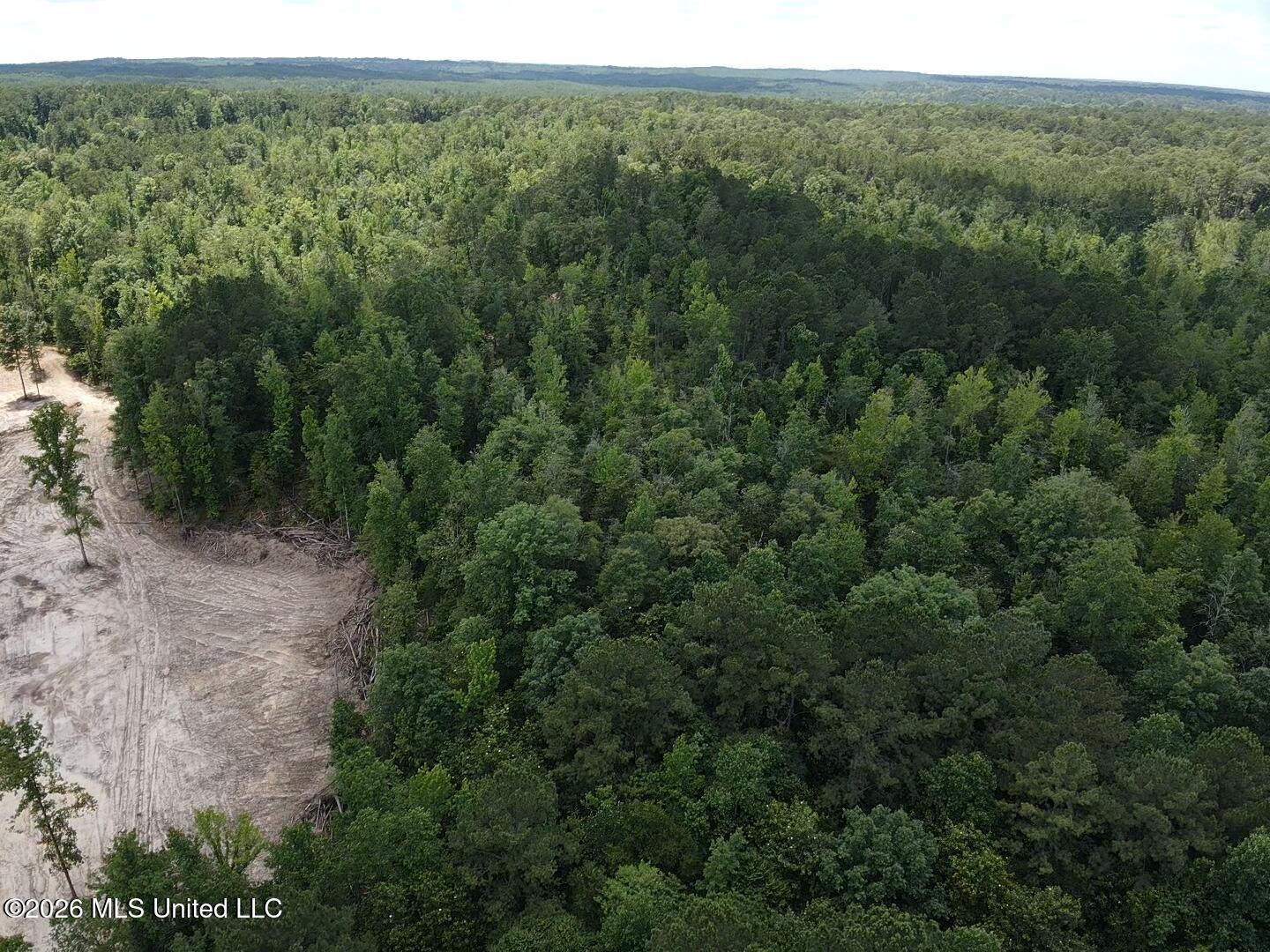 Stump Road Property Photo 48