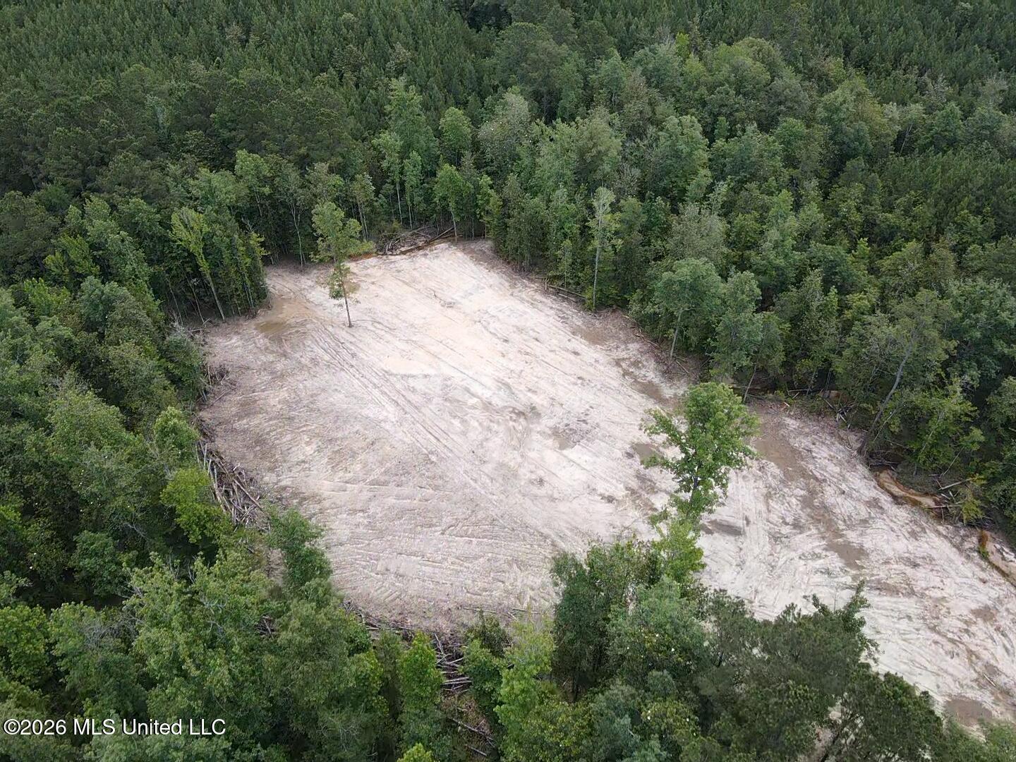 Stump Road Property Photo 49