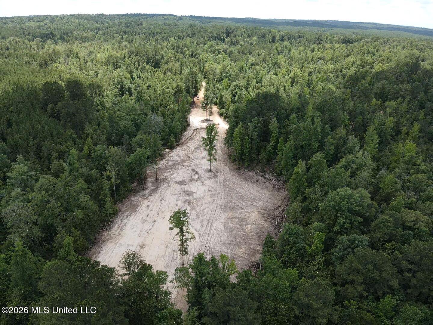 Stump Road Property Photo 50
