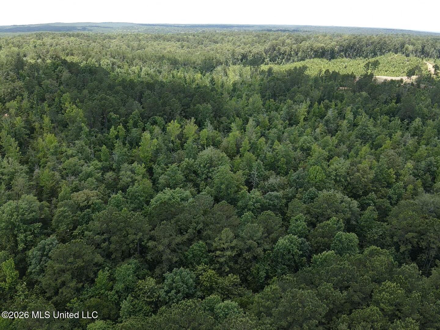Stump Road Property Photo 51