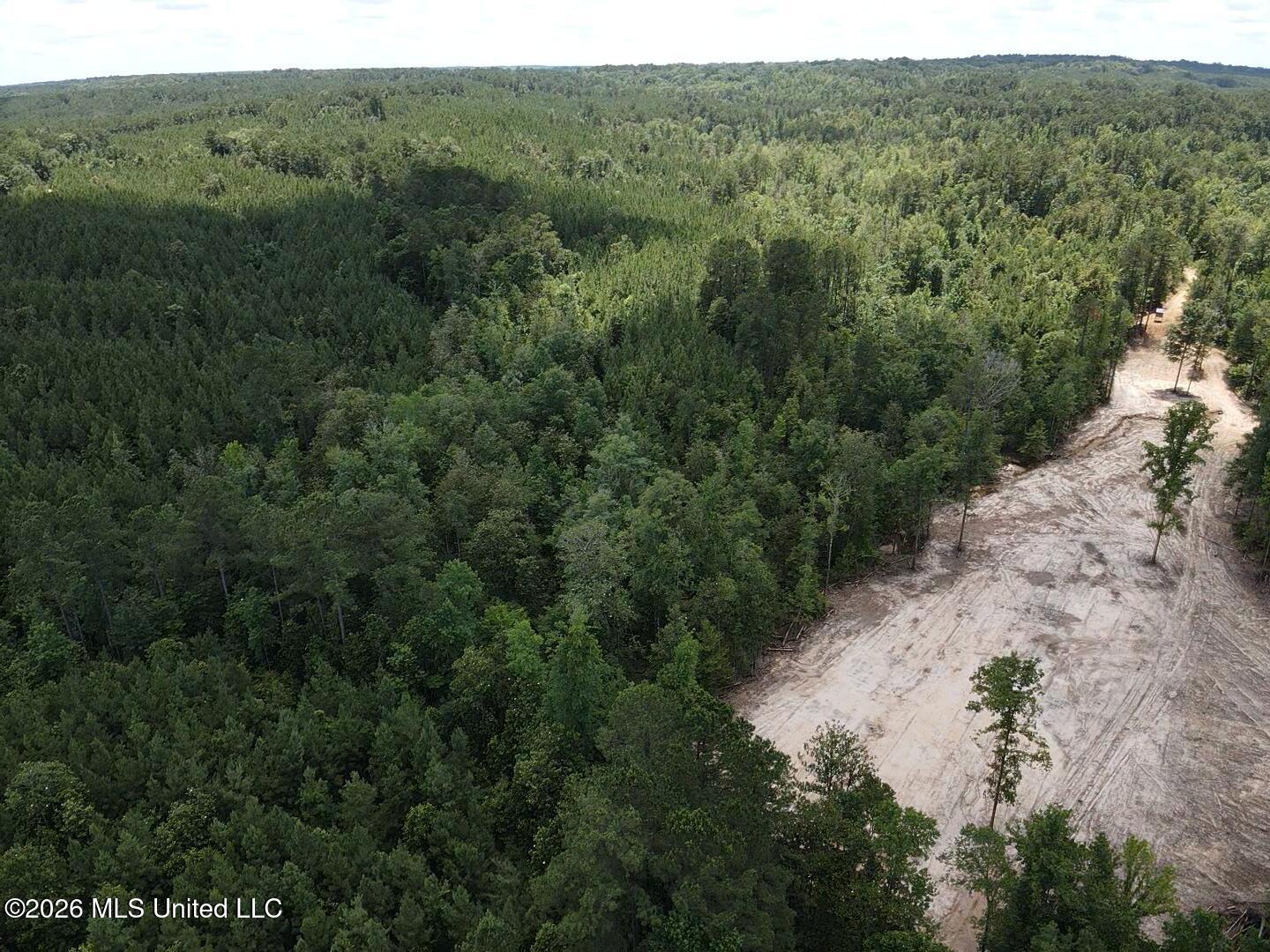 Stump Road Property Photo 52