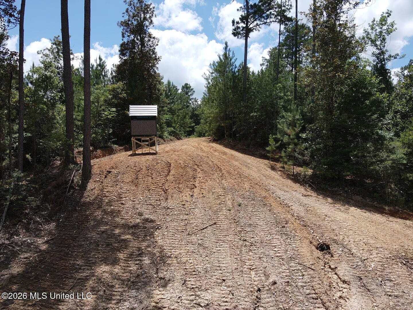 Stump Road Property Photo 53
