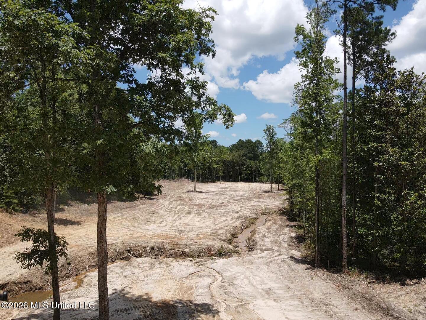 Stump Road Property Photo 54