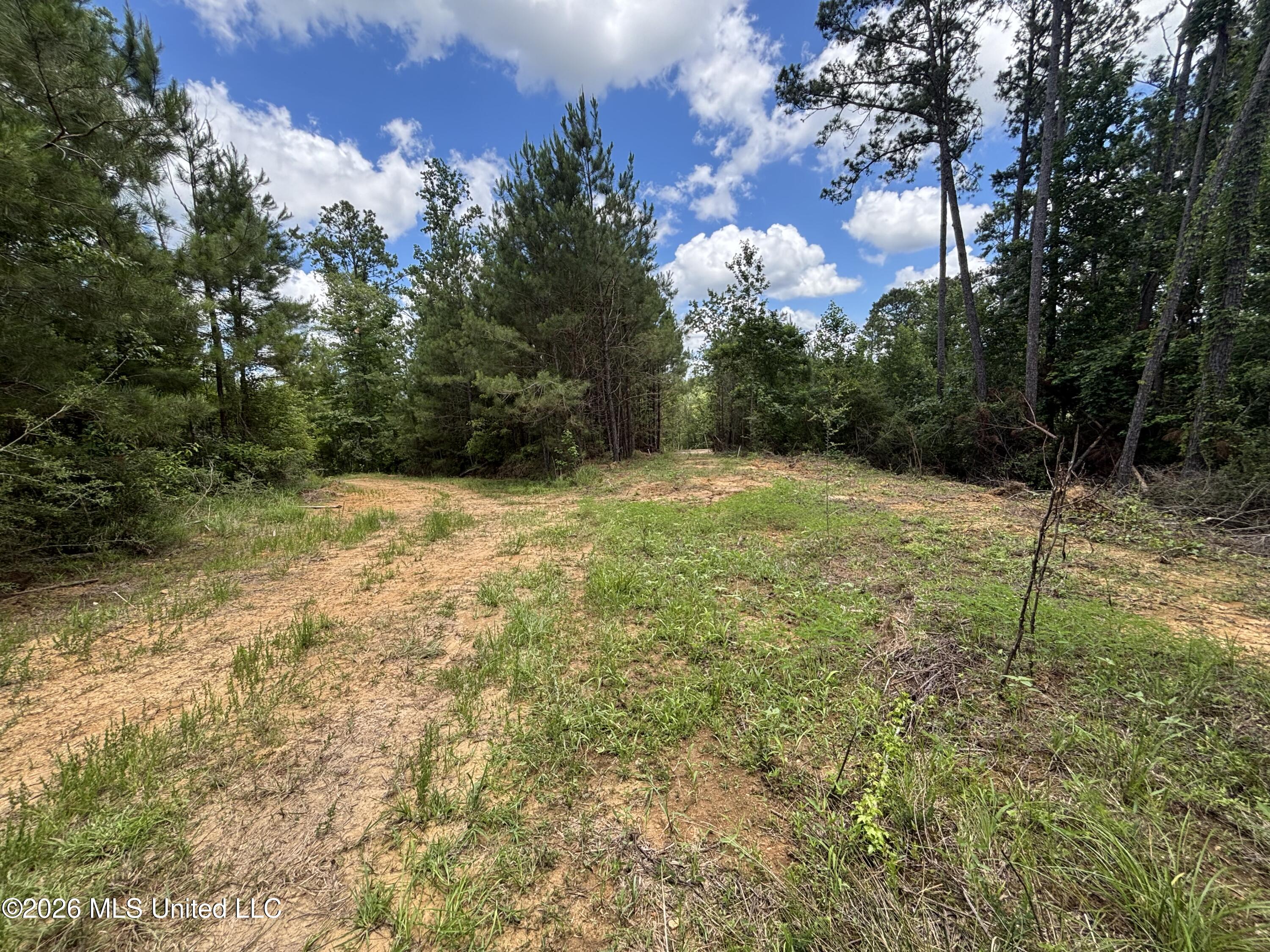 Stump Road Property Photo 55