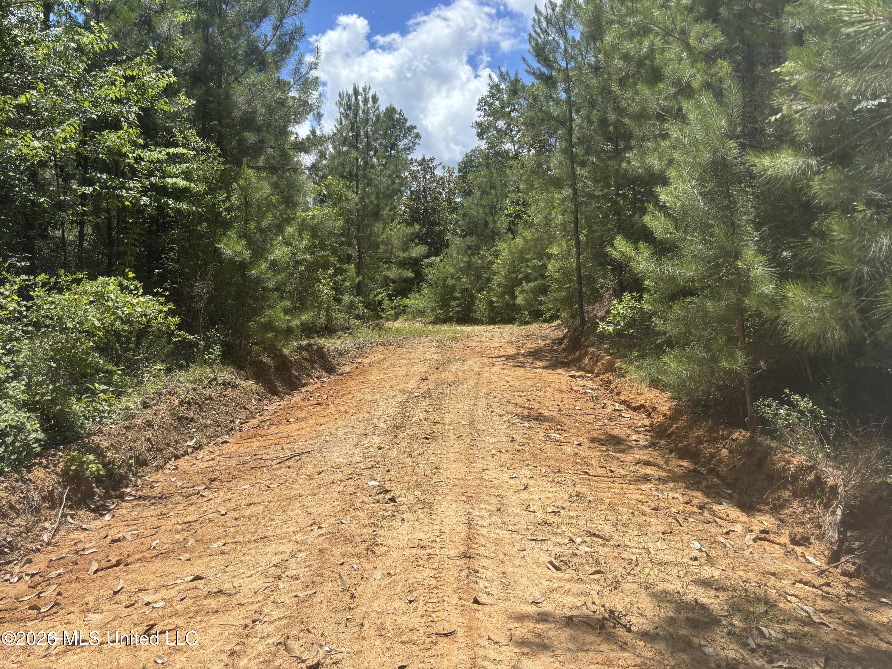 Stump Road Property Photo 56