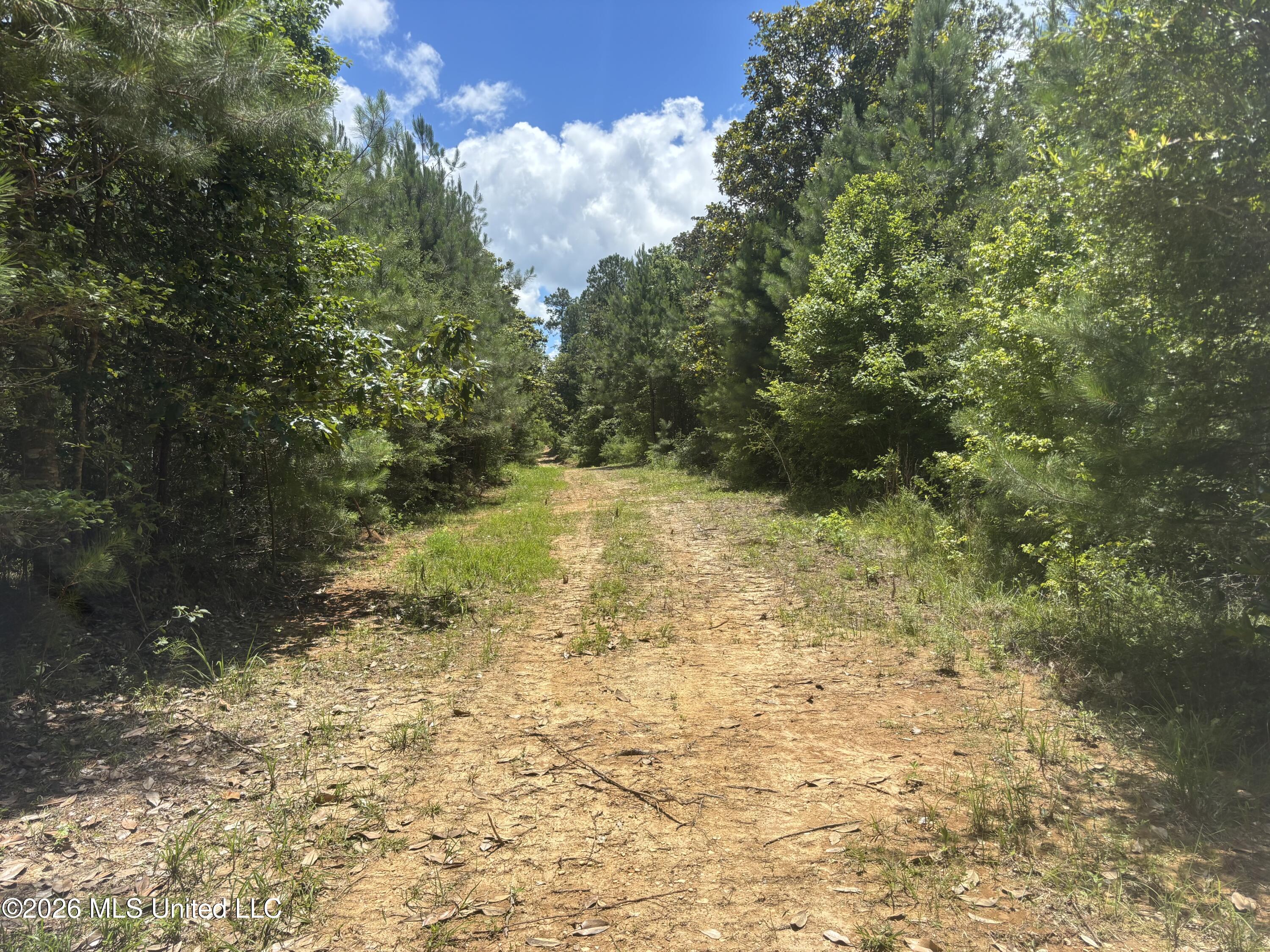 Stump Road Property Photo 57