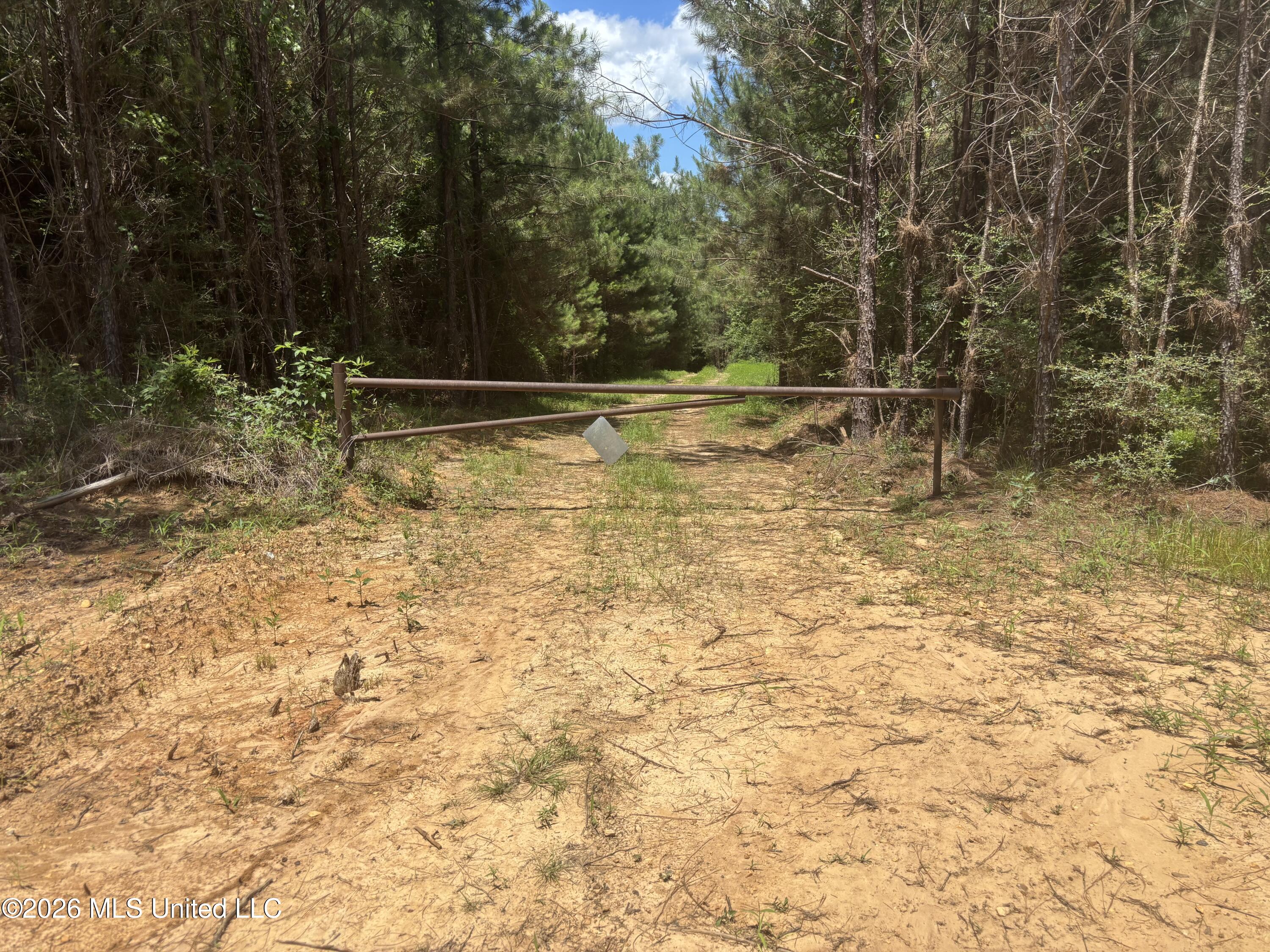 Stump Road Property Photo 58