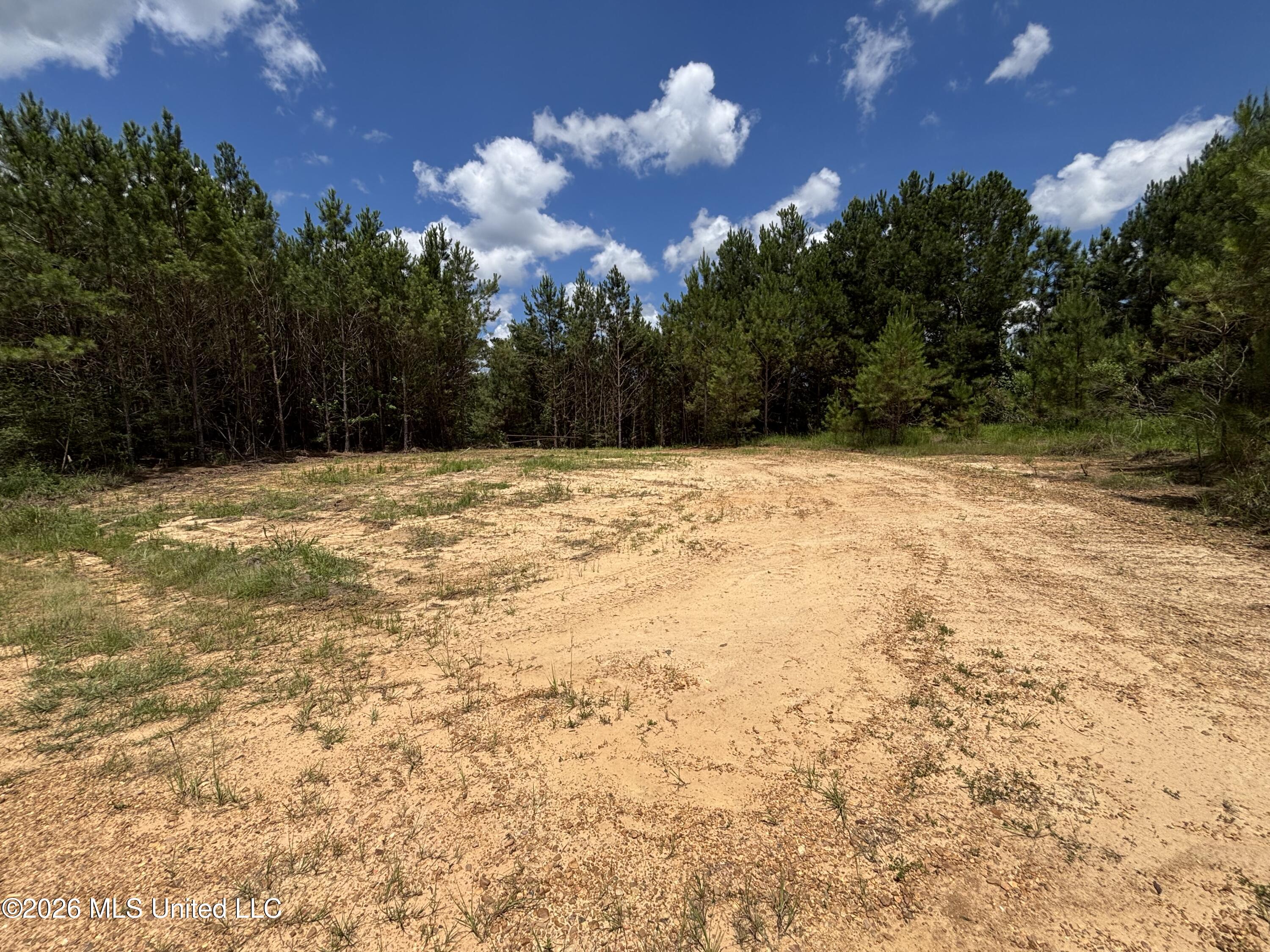 Stump Road Property Photo 64