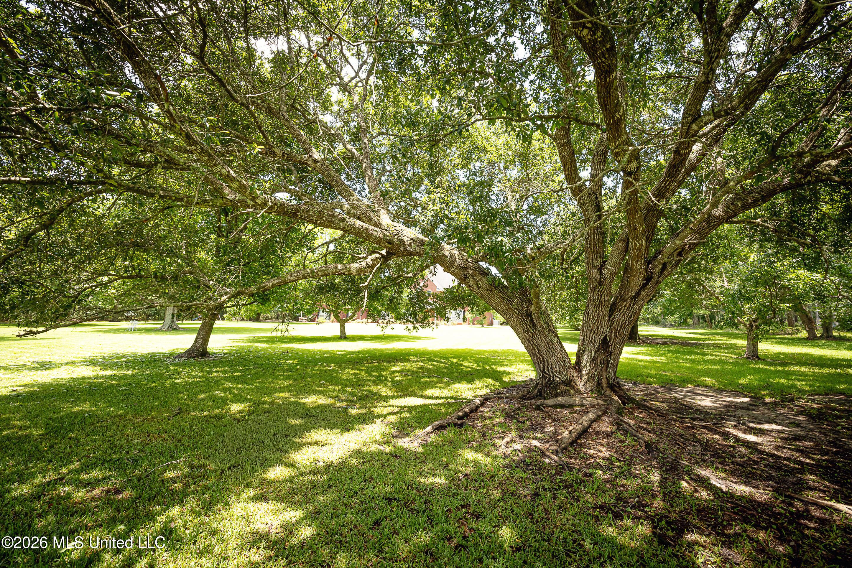 2901 Hamill Farm Road Property Photo 129