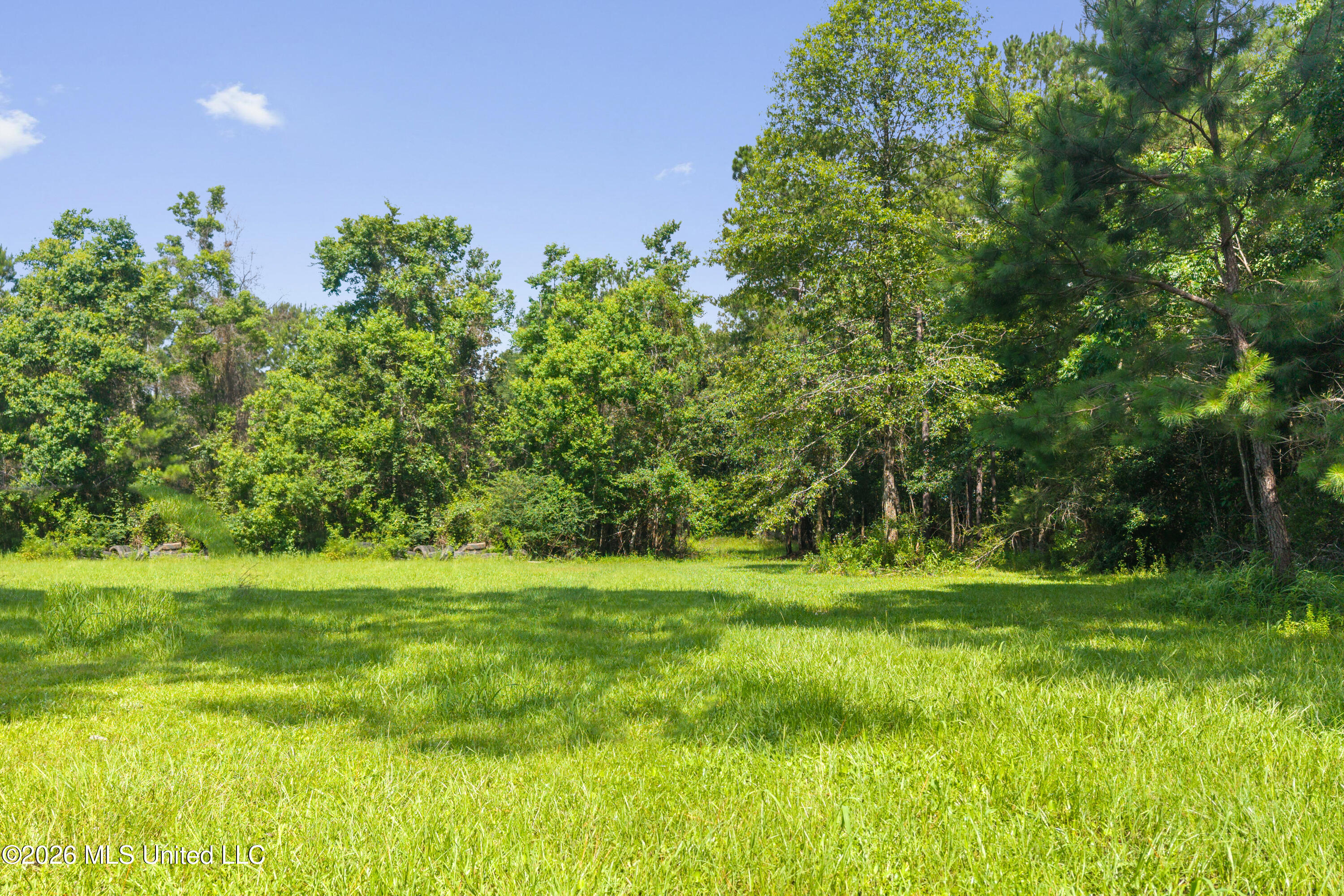 22367 Highway 603 Property Photo 24