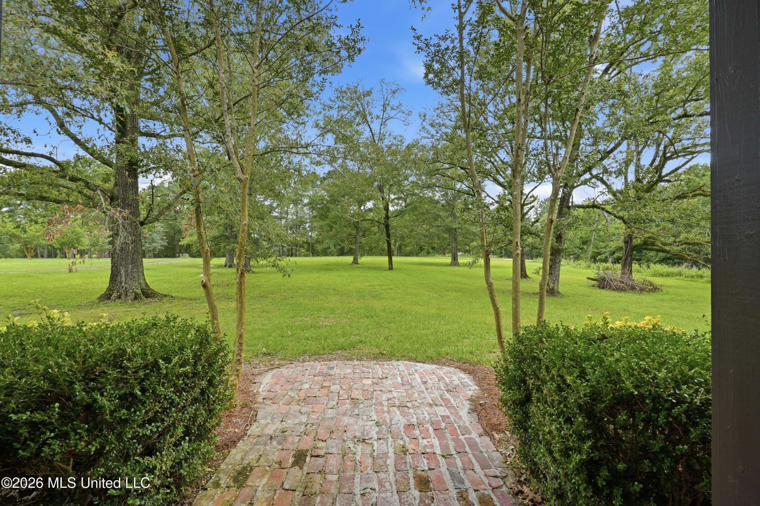 240 Mink Branch Road Property Photo 5