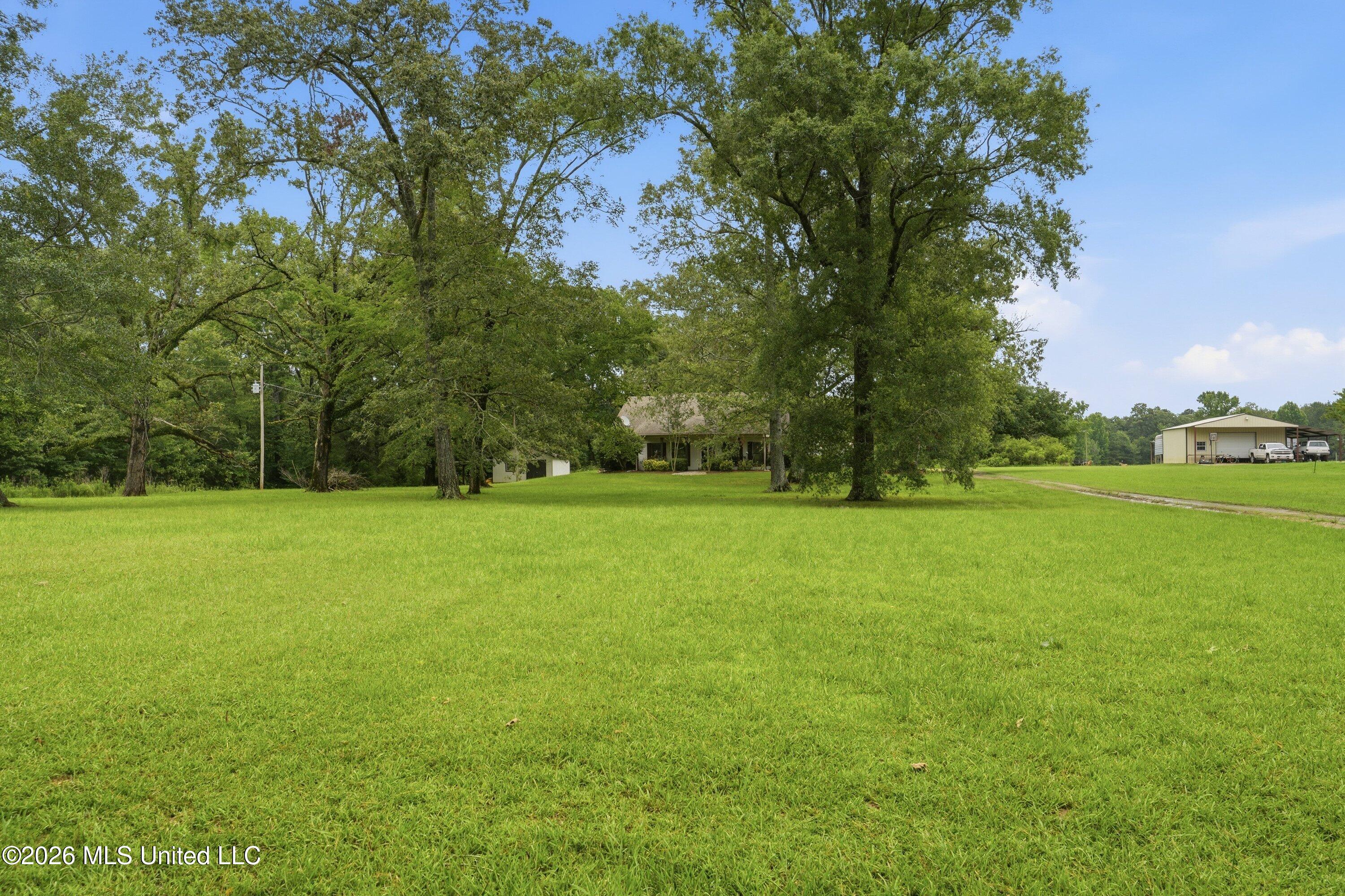 240 Mink Branch Road Property Photo 6