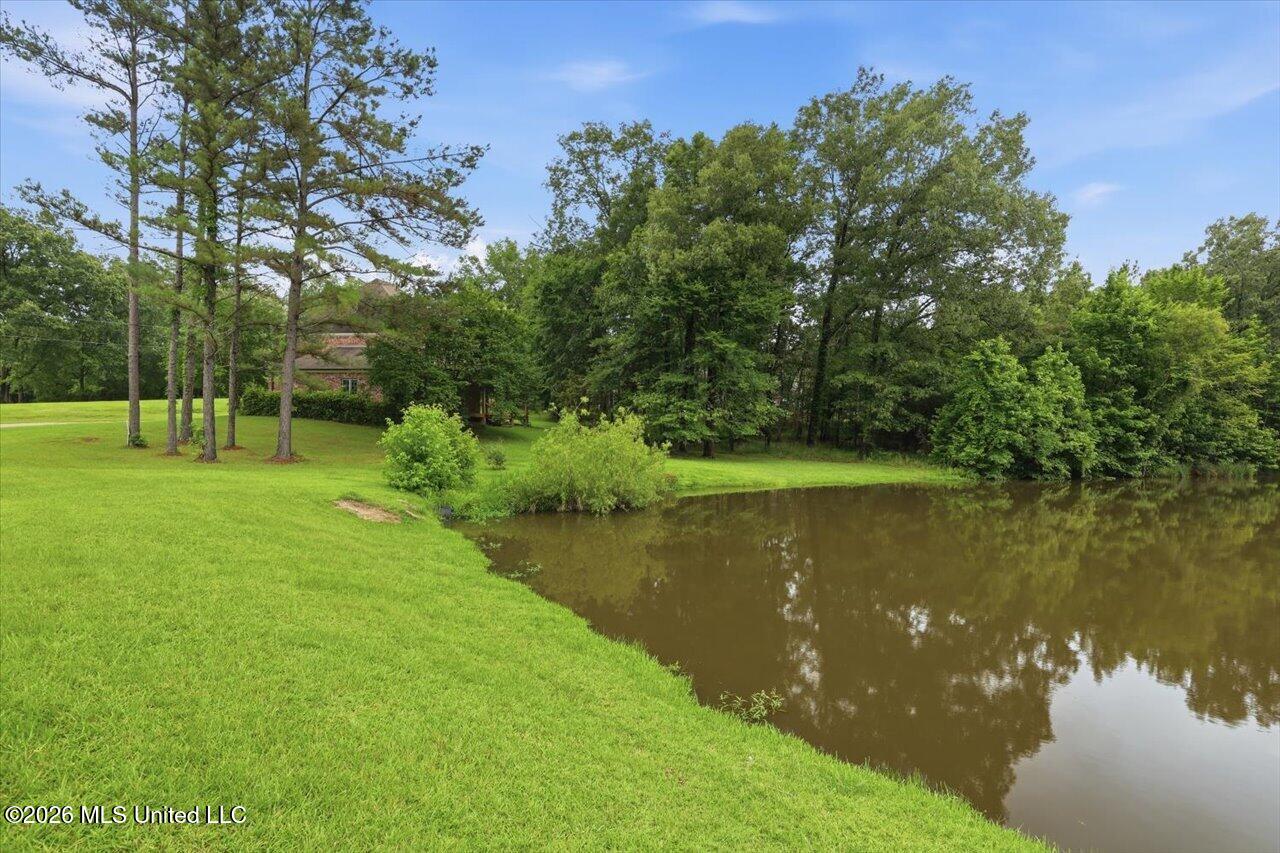 130 Bellemeade Drive Property Photo 61