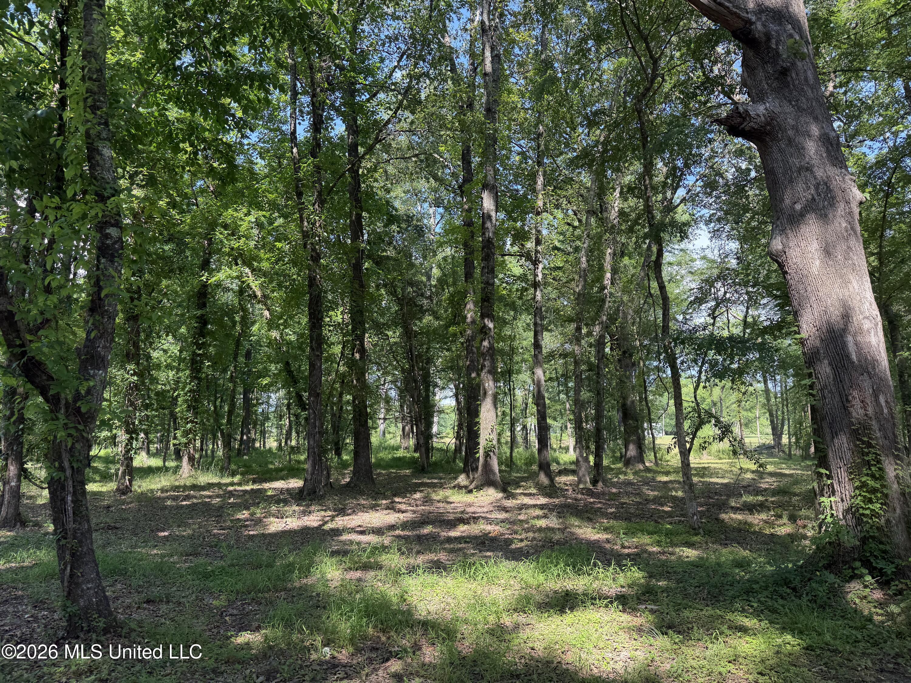 512 Ratliff Ferry Property Photo 7