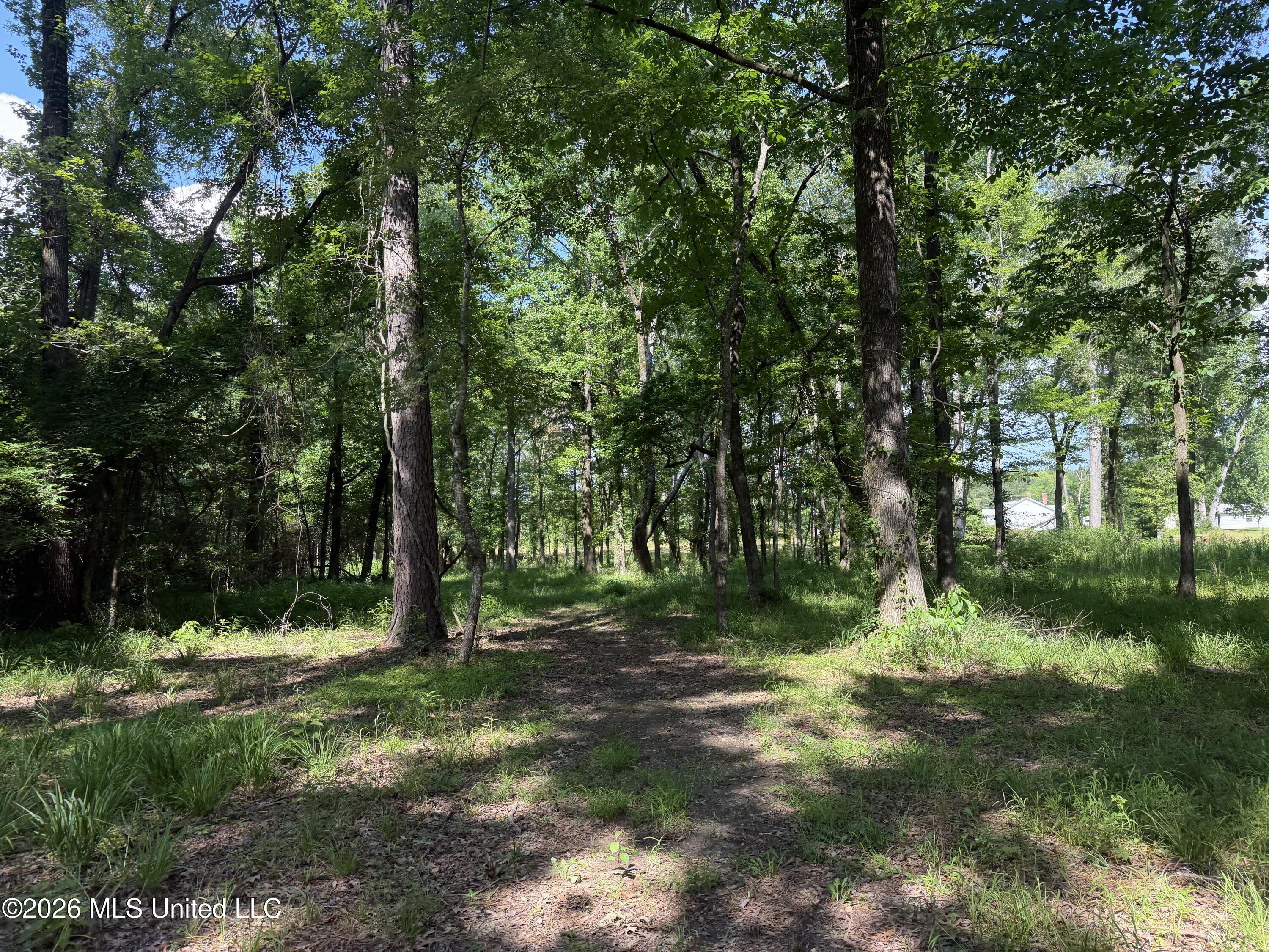 512 Ratliff Ferry Property Photo 10