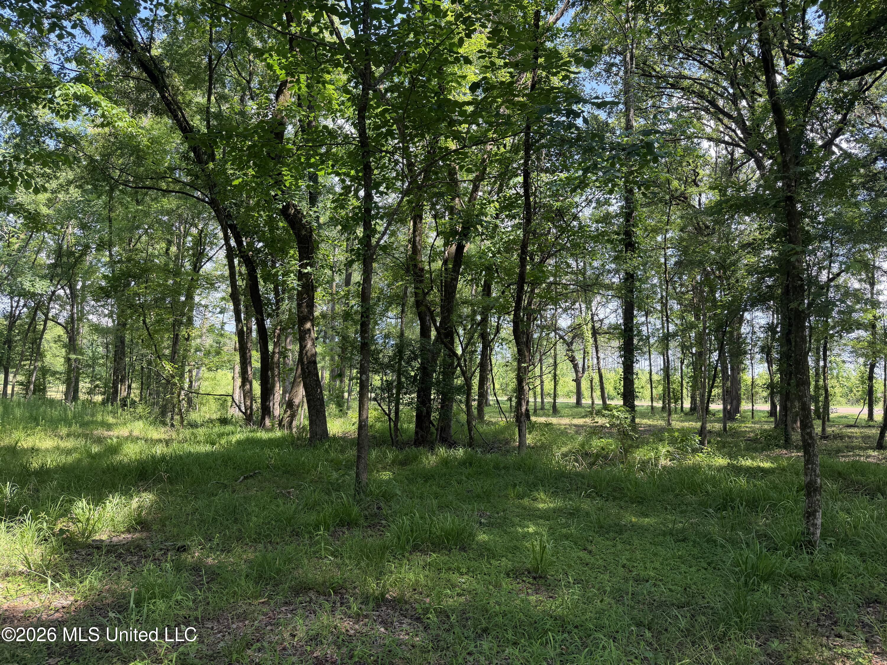 512 Ratliff Ferry Property Photo 11