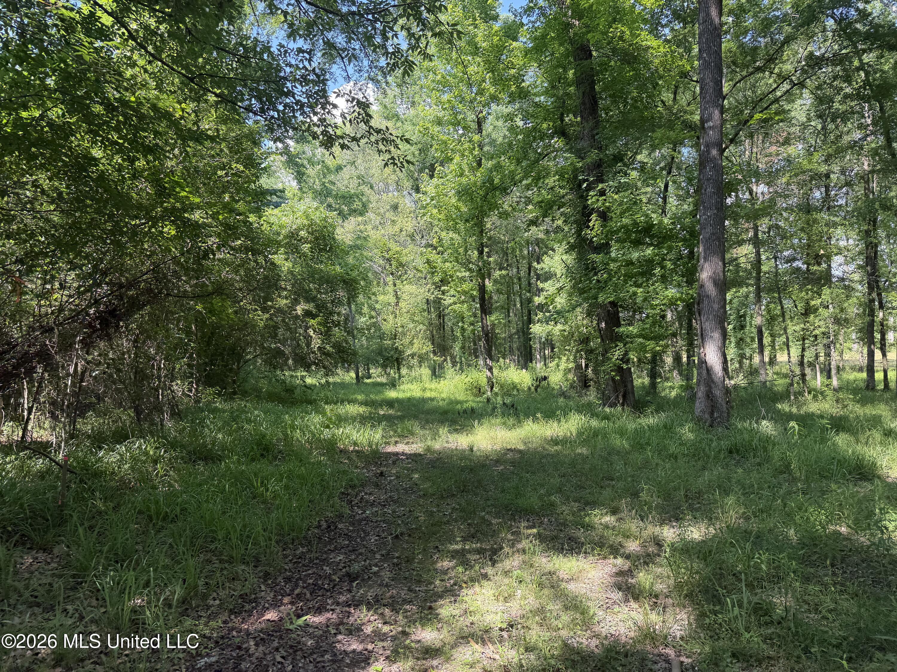 512 Ratliff Ferry Property Photo 13