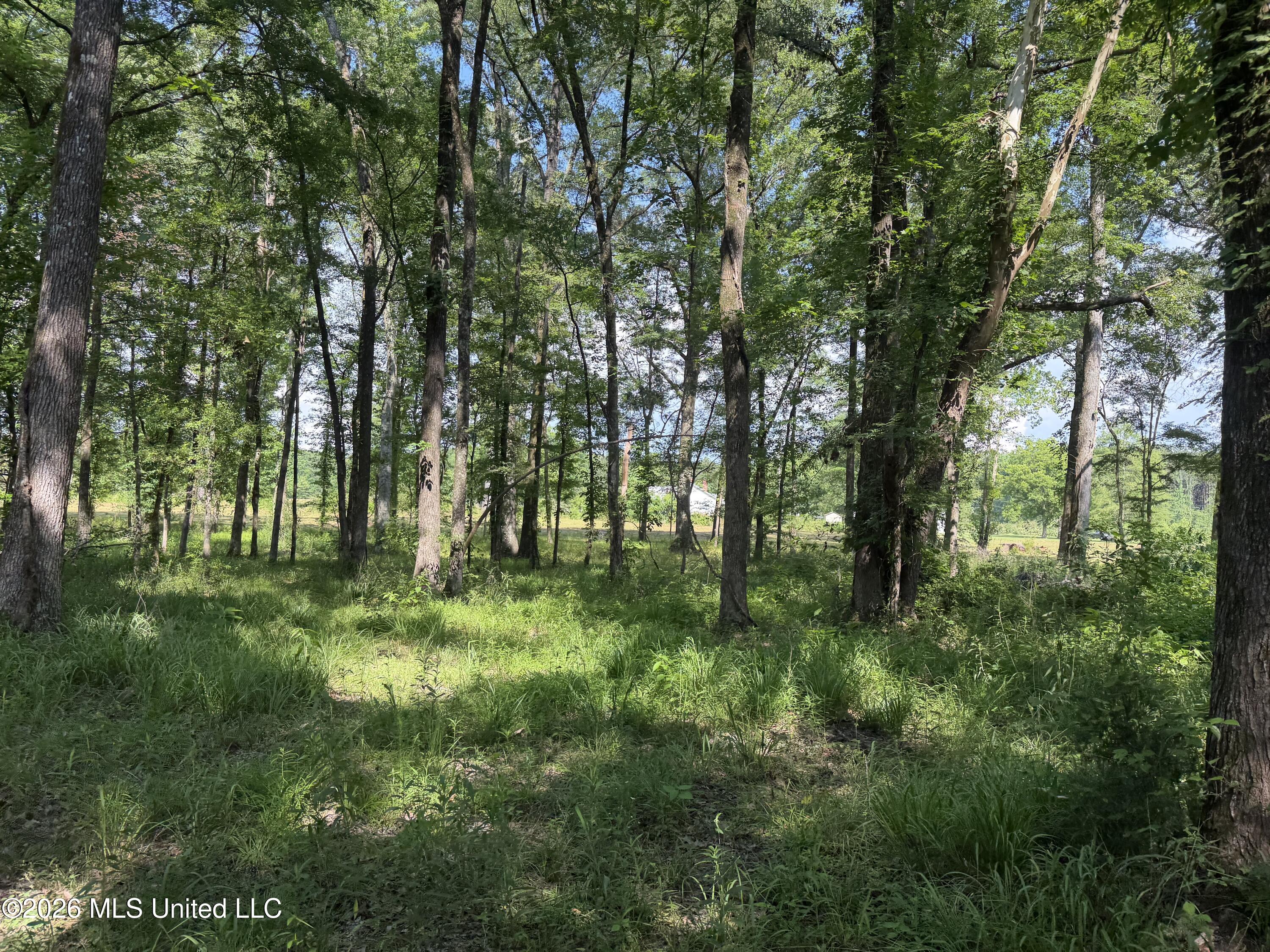 512 Ratliff Ferry Property Photo 14