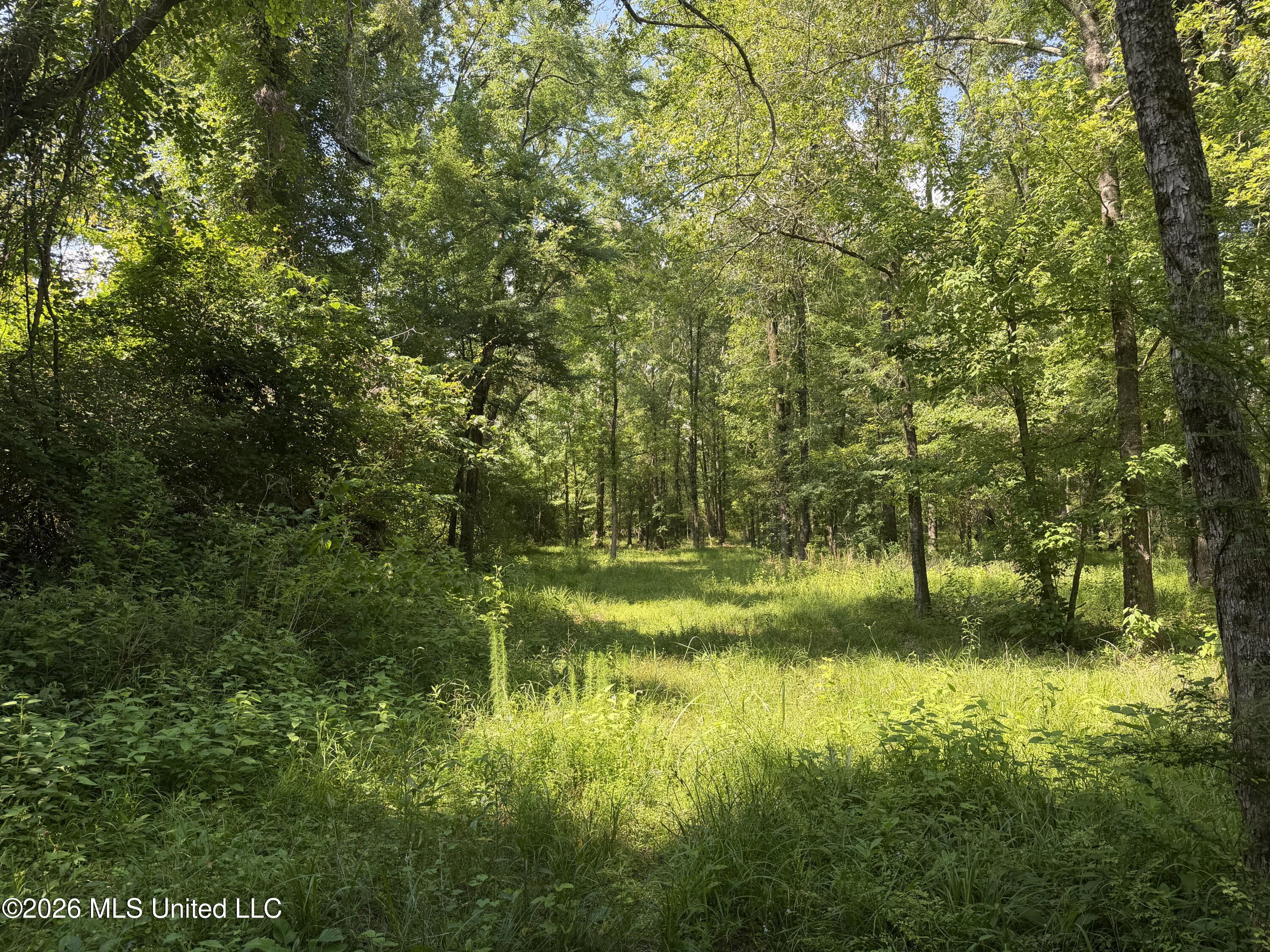 512 Ratliff Ferry Property Photo 15