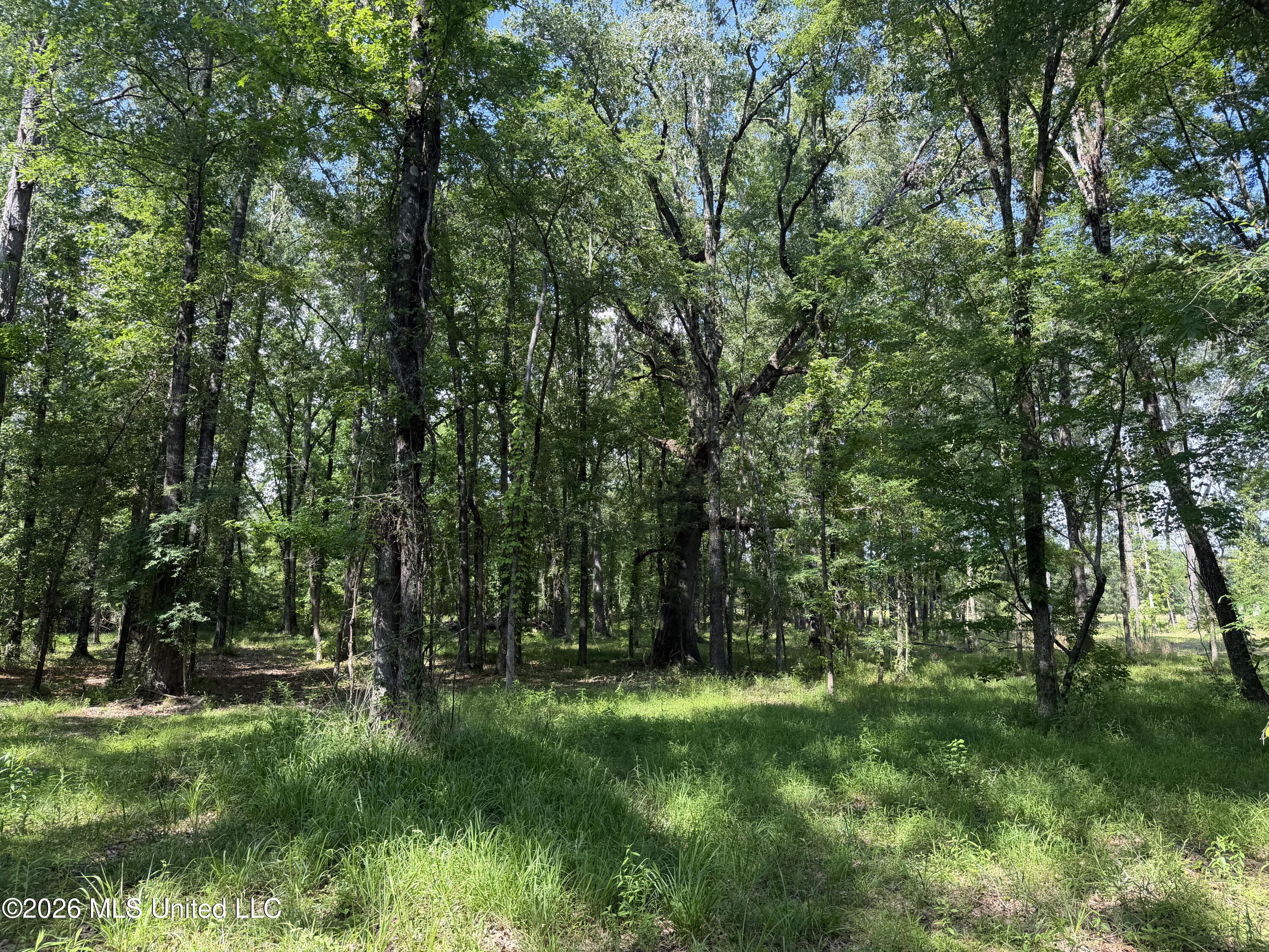 512 Ratliff Ferry Property Photo 16
