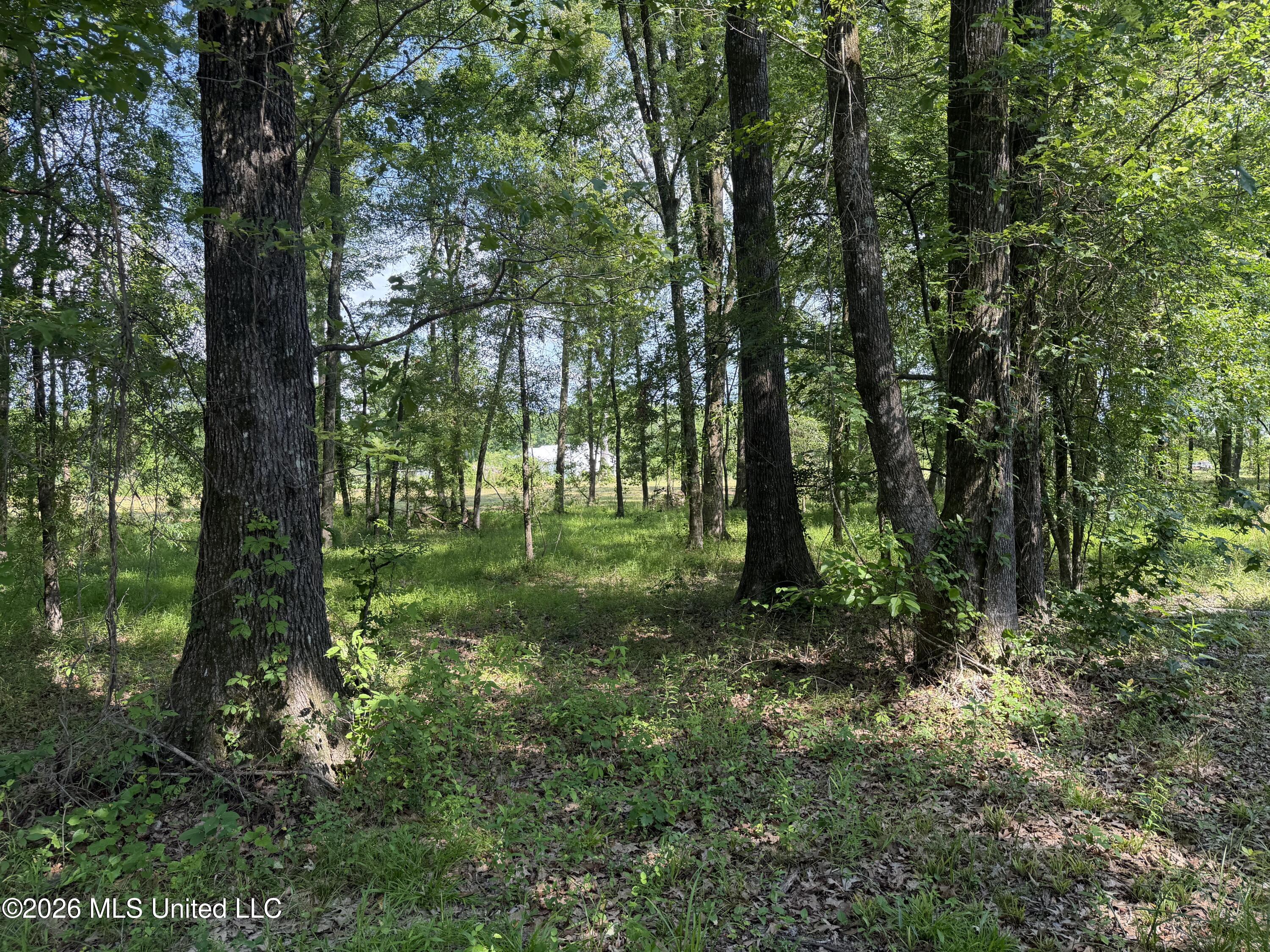 512 Ratliff Ferry Property Photo 17