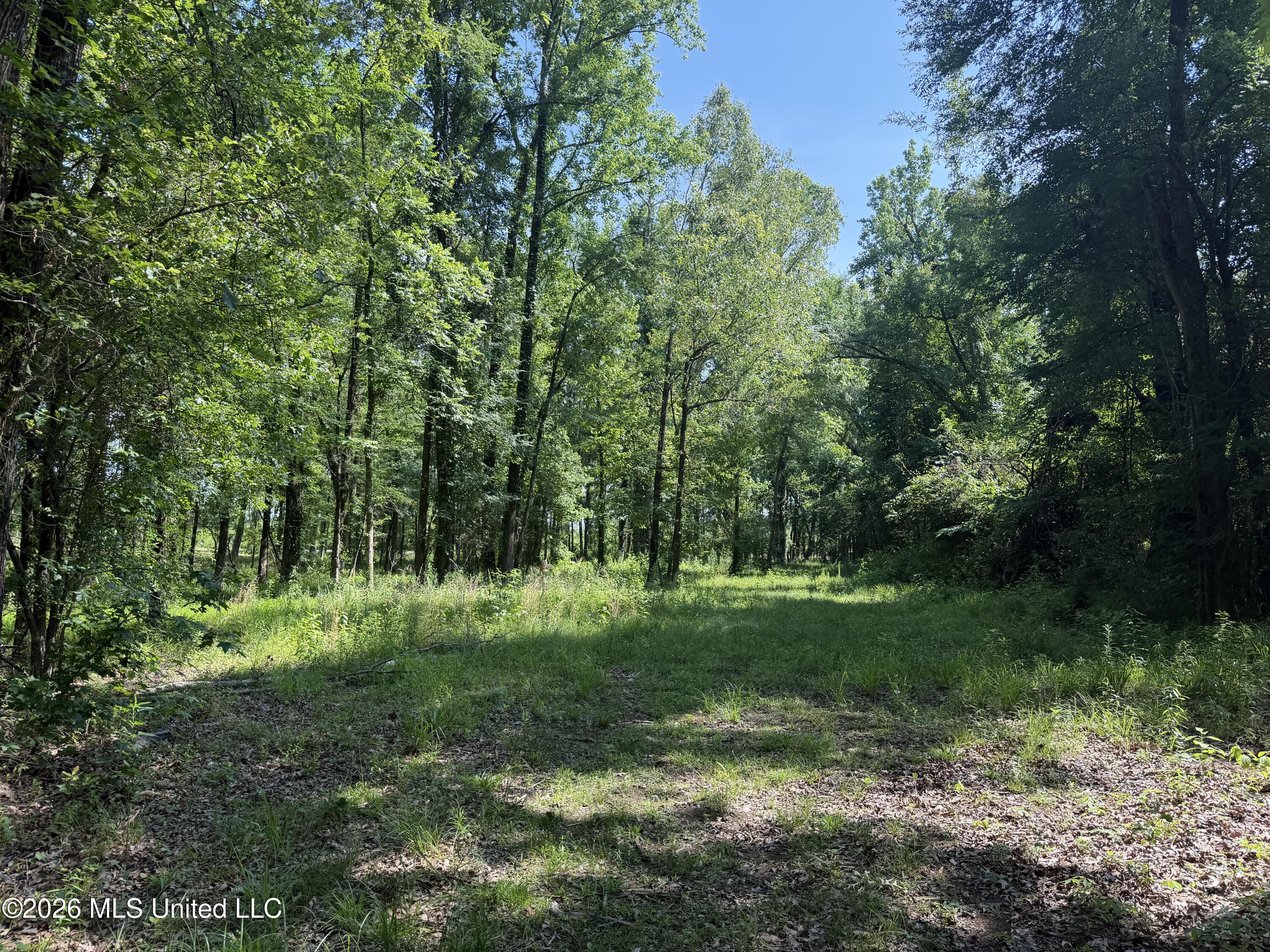 512 Ratliff Ferry Property Photo 18