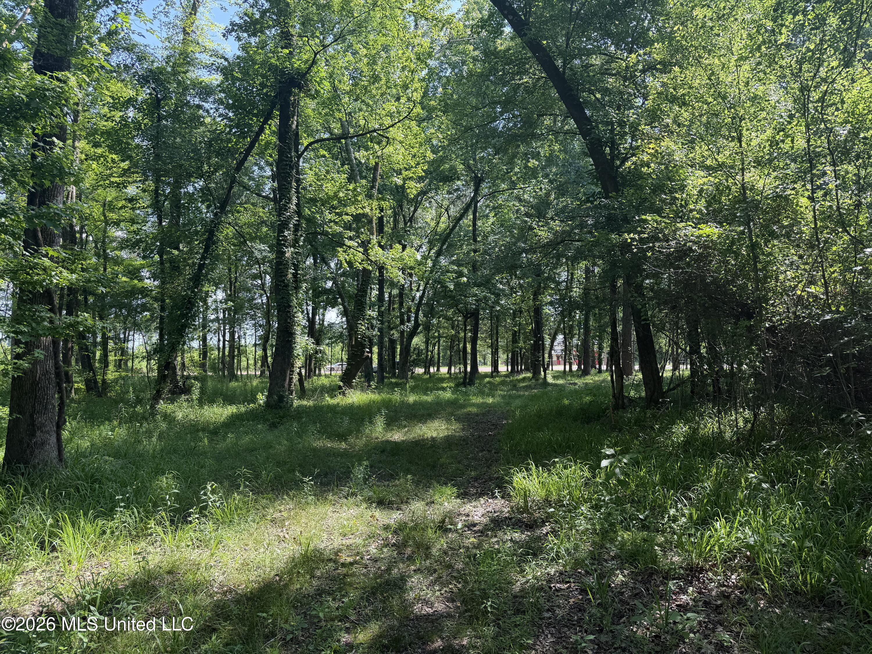 512 Ratliff Ferry Property Photo 19