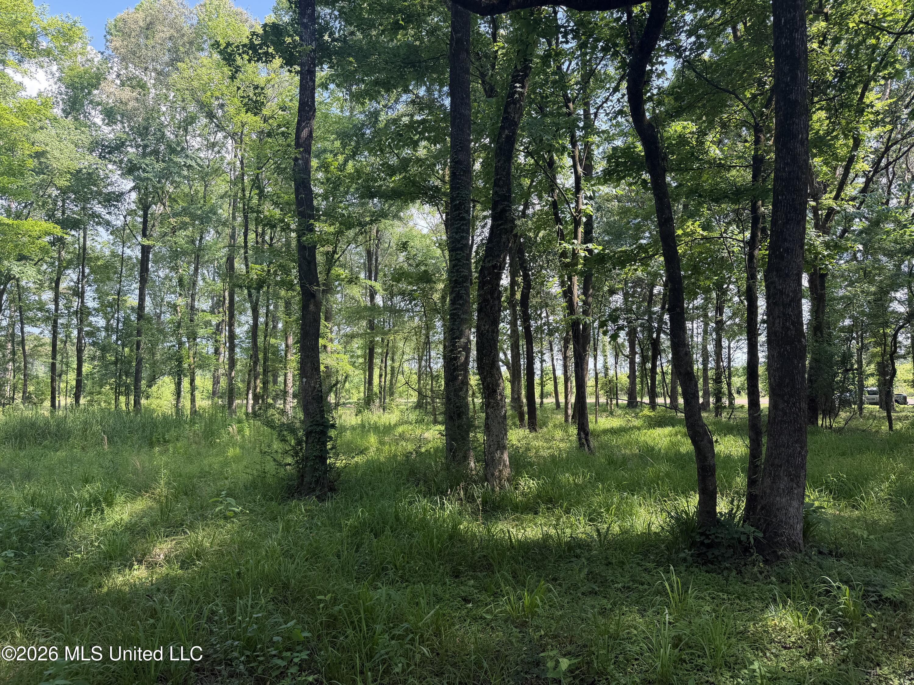 512 Ratliff Ferry Property Photo 20