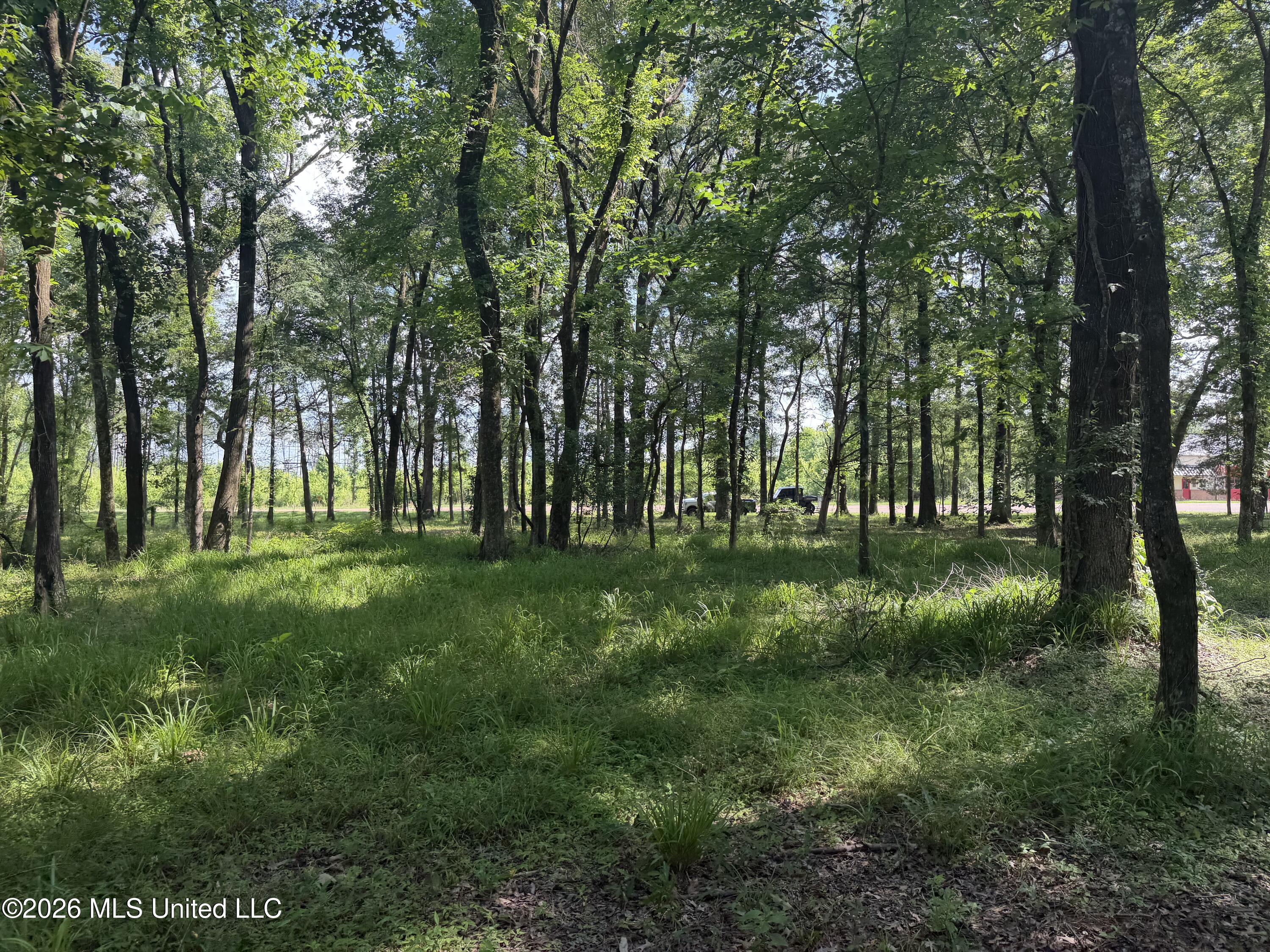 512 Ratliff Ferry Property Photo 21