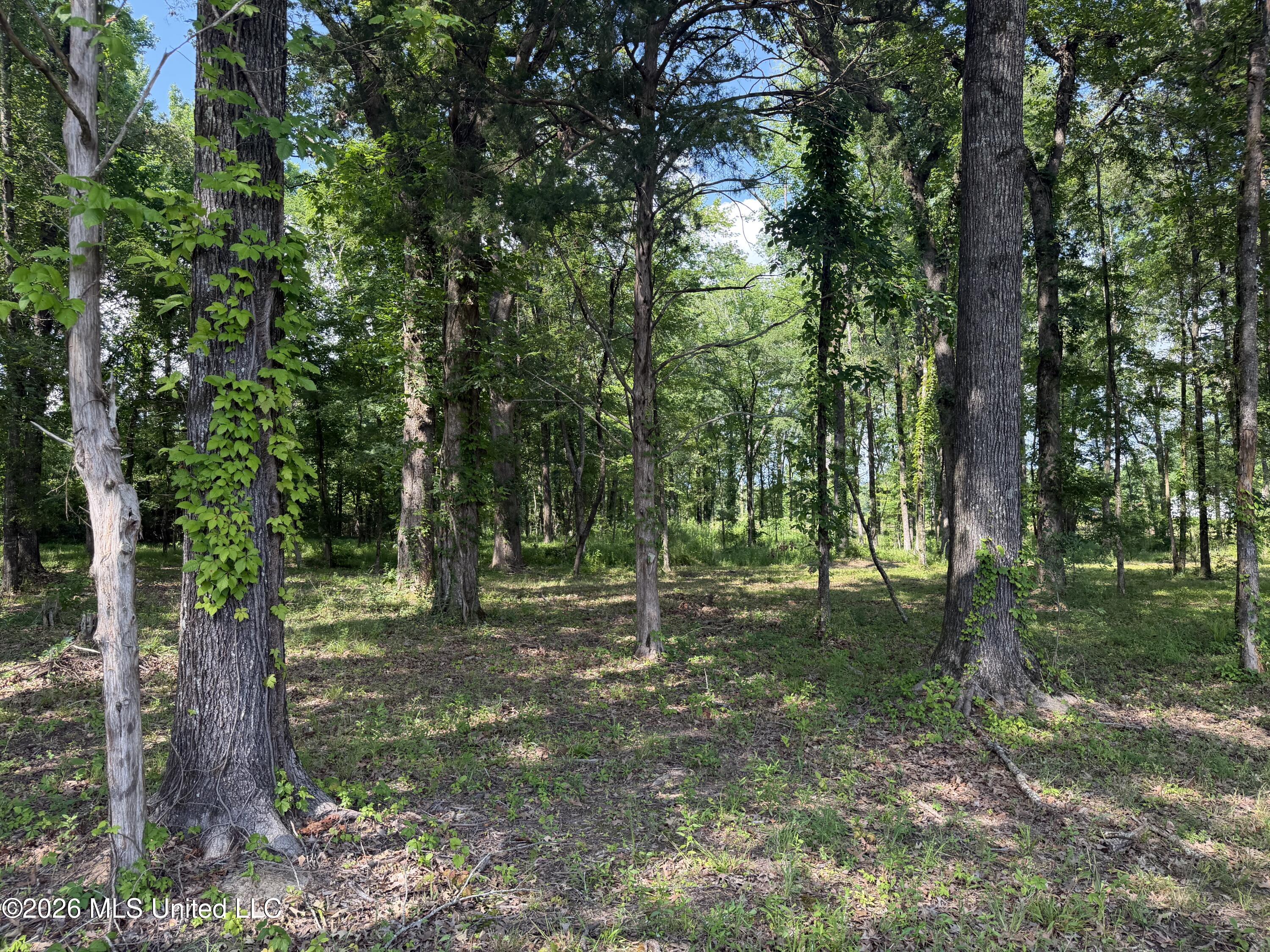 512 Ratliff Ferry Property Photo 24