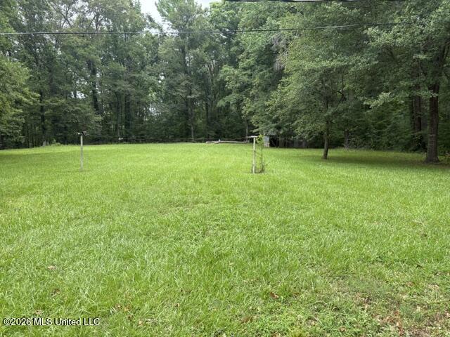 2914 S Highway 7 Property Photo 18