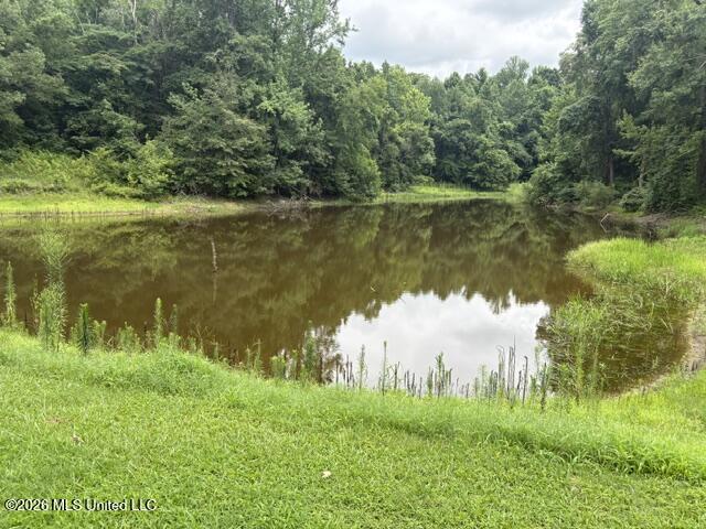 2914 S Highway 7 Property Photo 25
