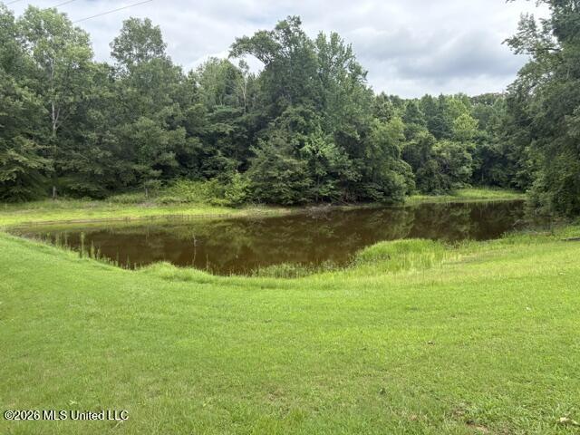 2914 S Highway 7 Property Photo 26