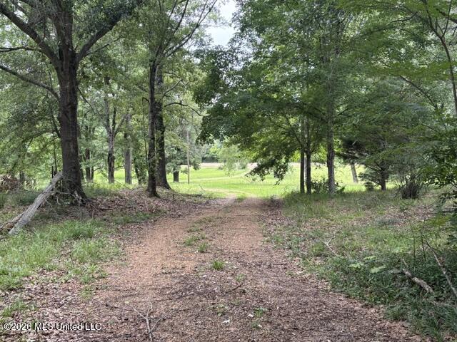 2914 S Highway 7 Property Photo 29