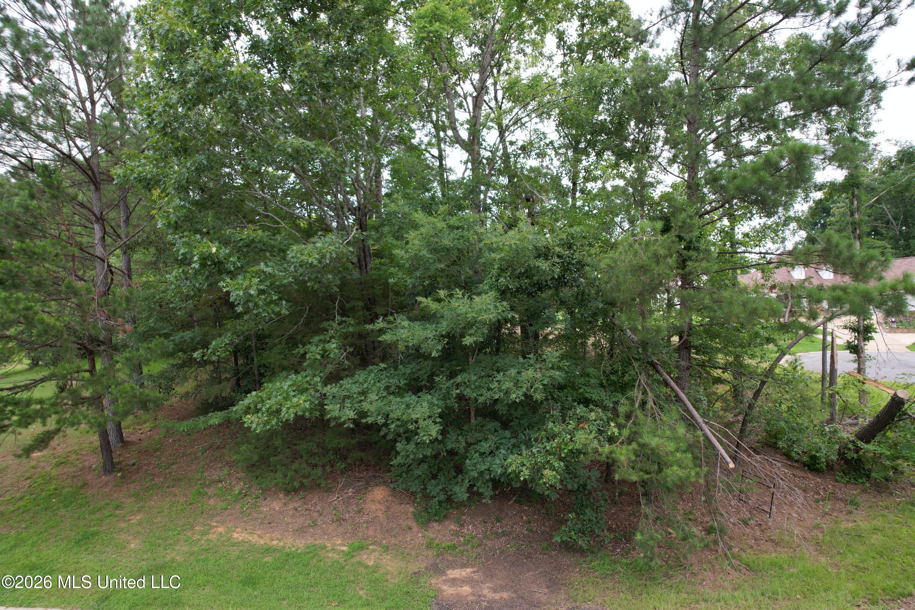 Nelson Drive Property Photo 6