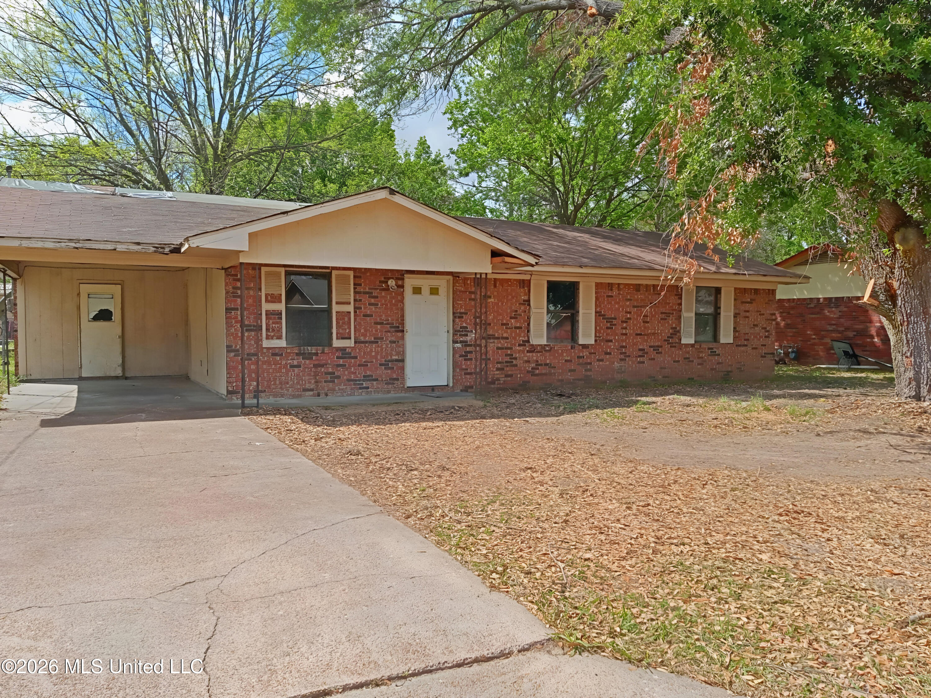 802 Gentle Ben Avenue Property Photo 11
