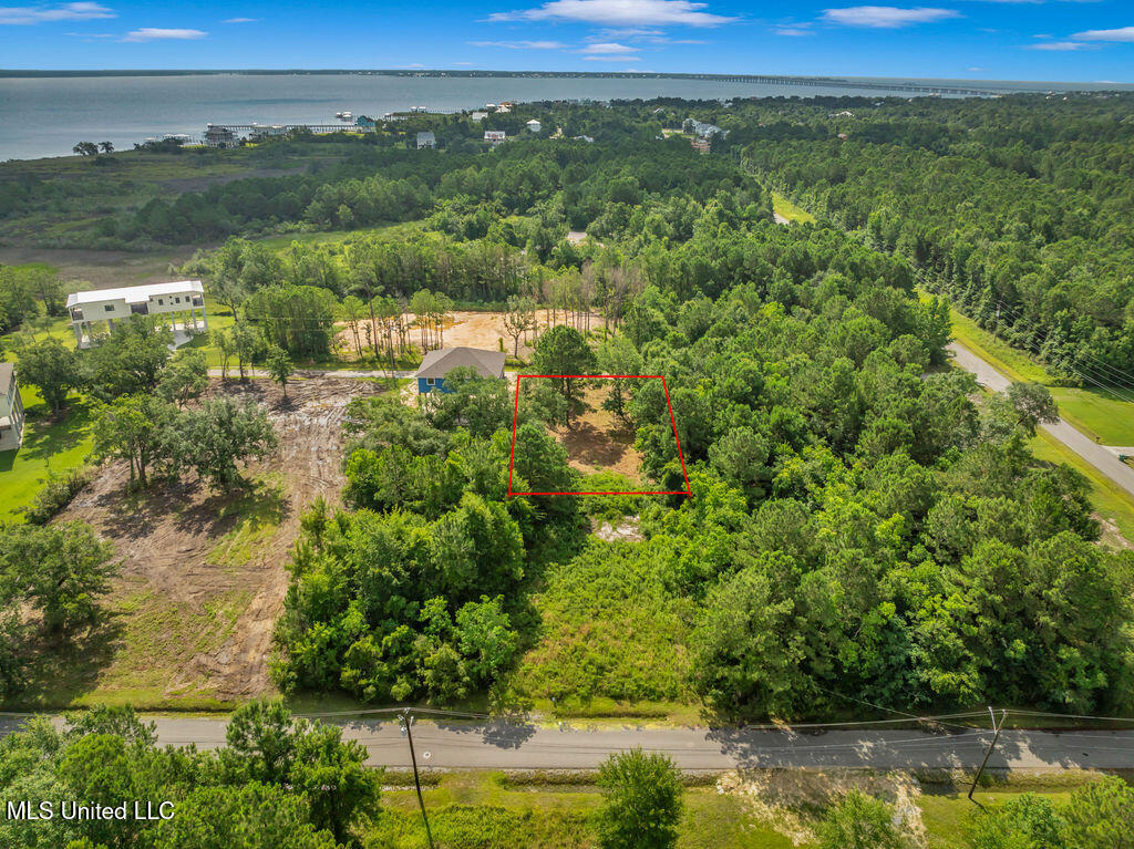 Pogo Road Property Photo 4