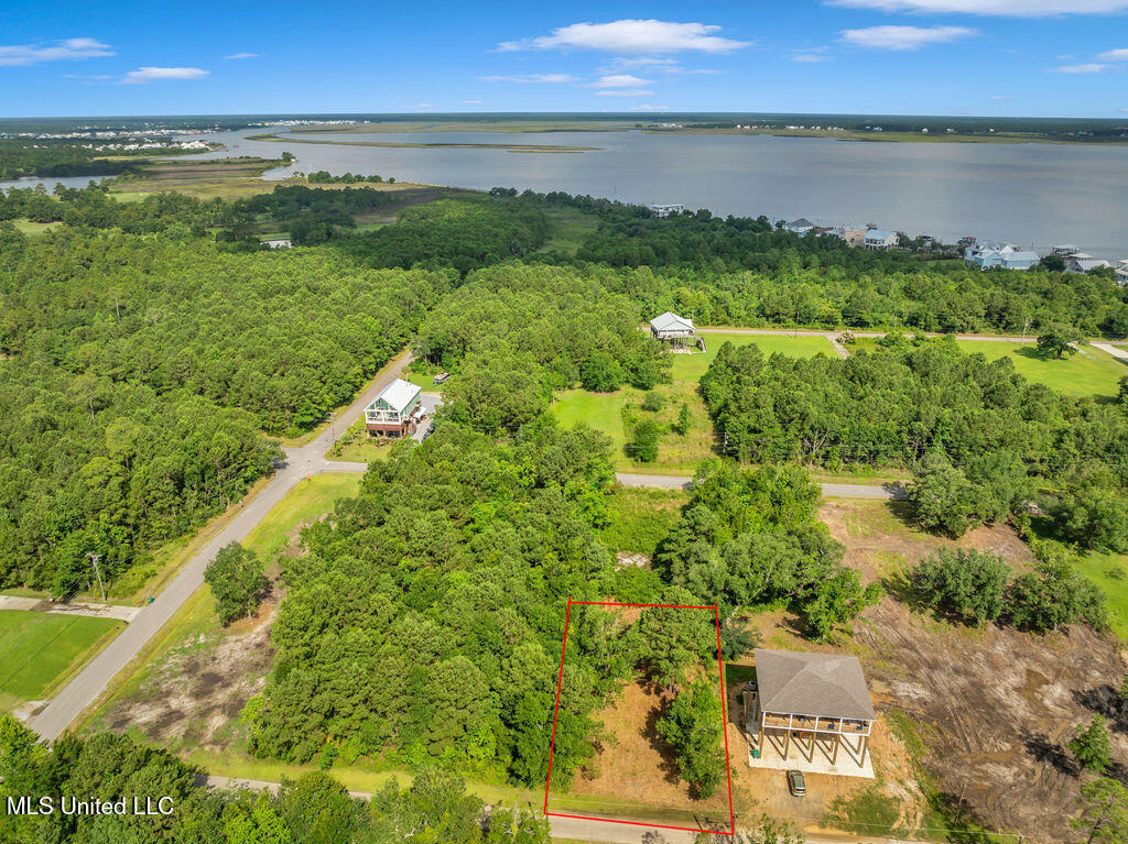 Pogo Road Property Photo 5