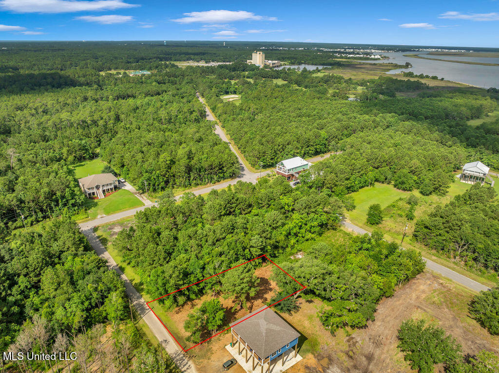 Pogo Road Property Photo 6